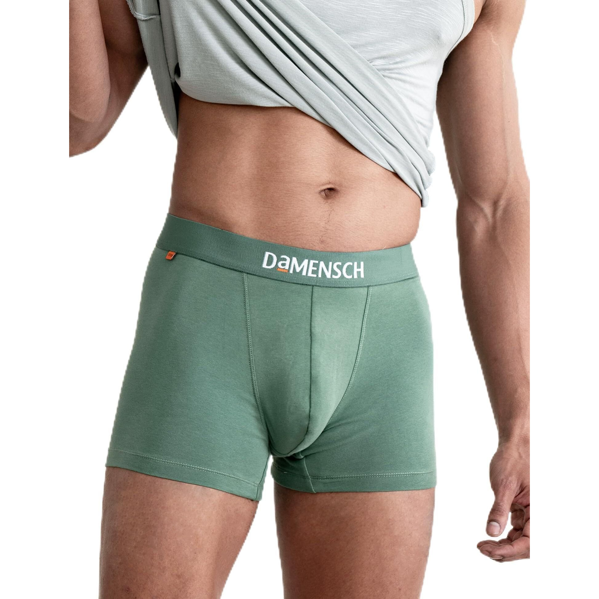 DAMENSCH Men's Deo-Cotton Deodorizing Trunks- Pack of 1- Ivy Green- Small