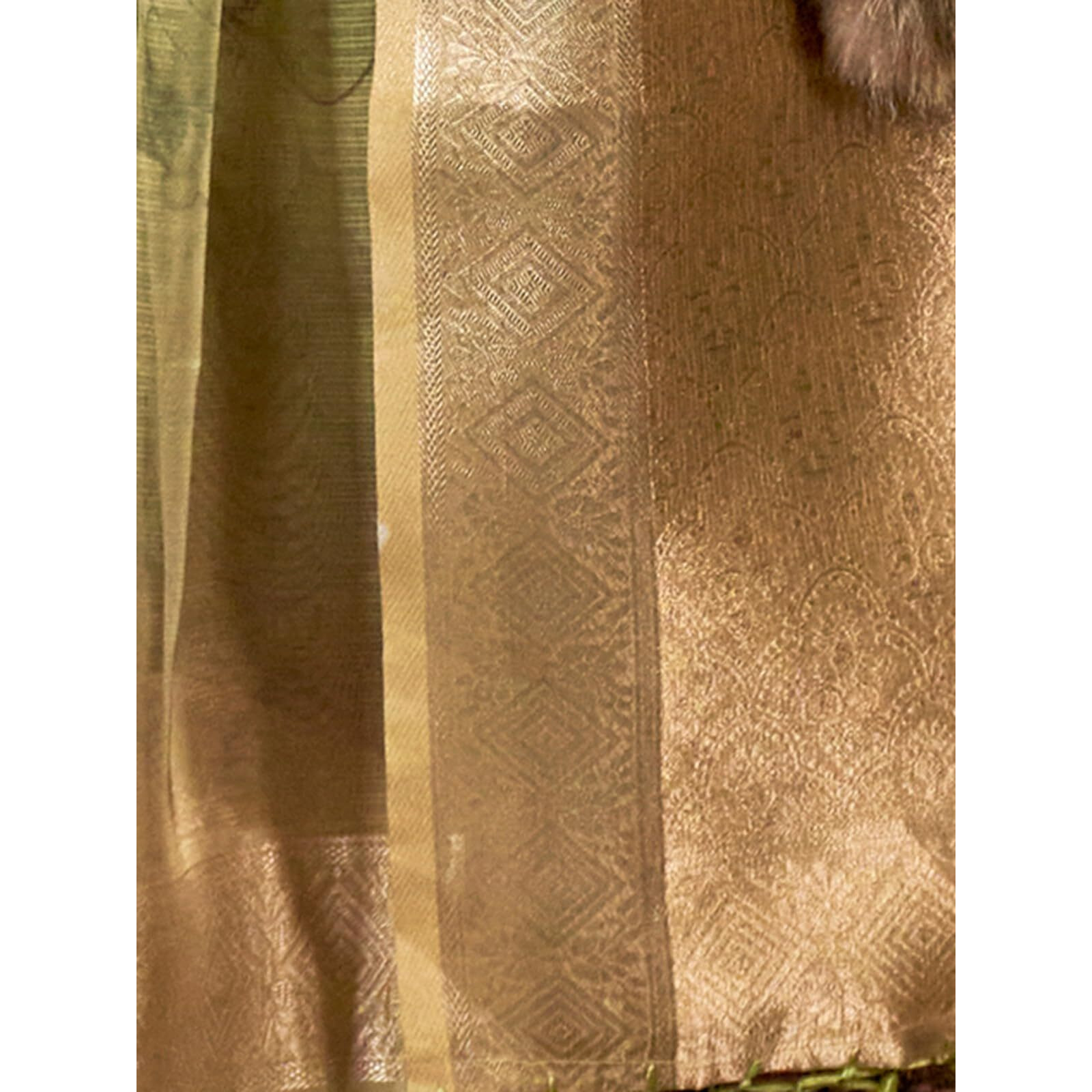 Satrani Women's Organza Floral Printed Banarasi Jacquard Saree with Unstitched Blouse Piece (3777S103N_Green)