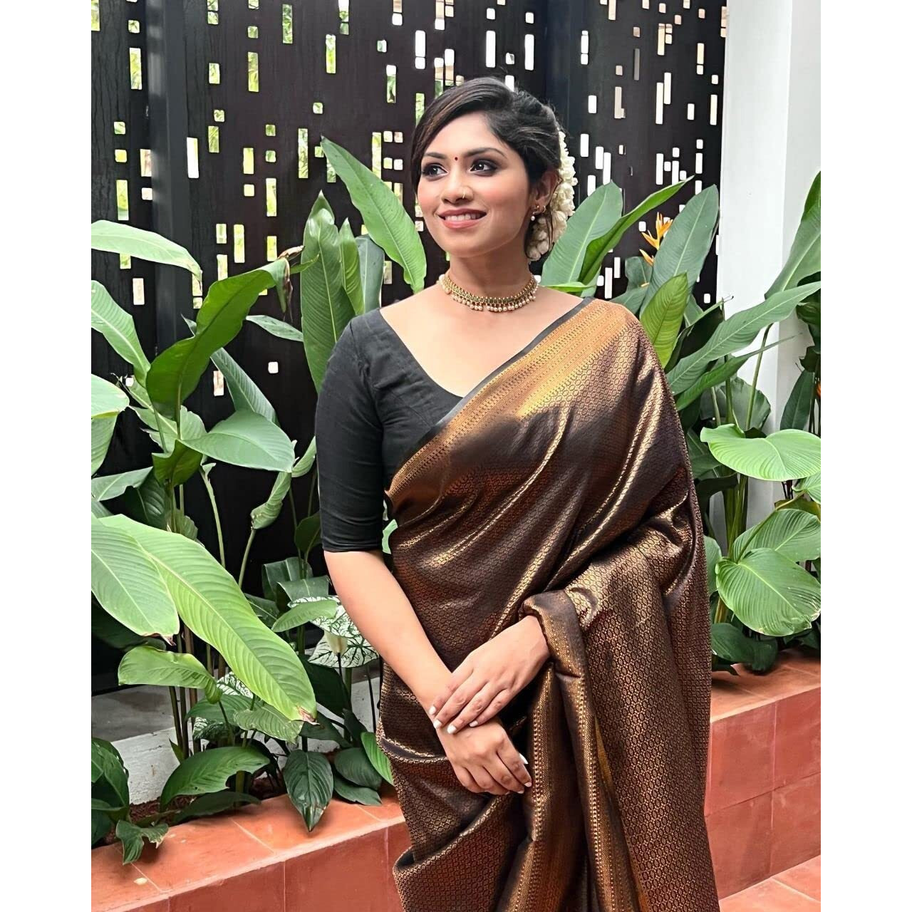 Anjaneya Sarees Women Kanjivaram Banarasi Silk Saree With Blouse (Brown)