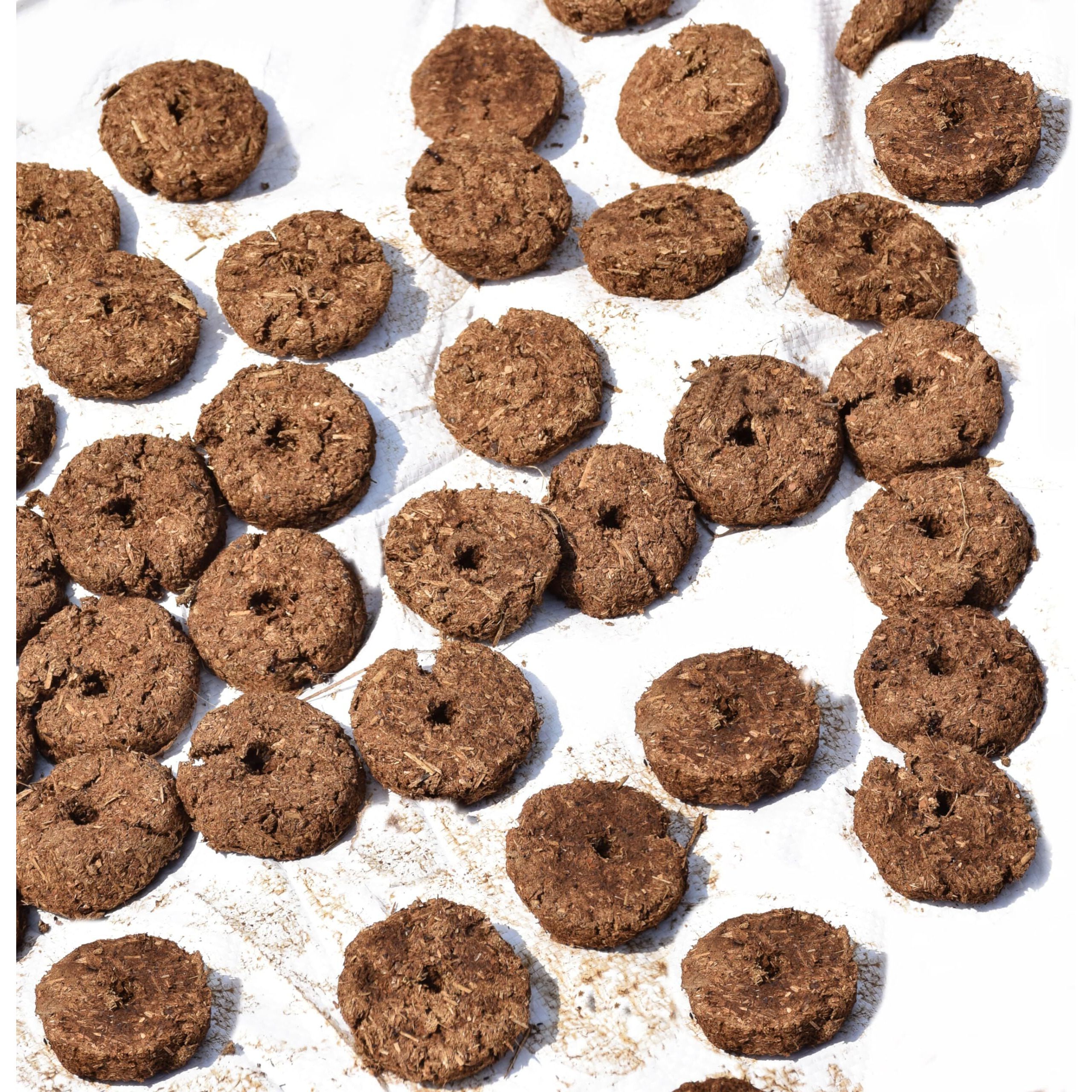 Pure Source India Natural and Pure Cow Dung Mala for Hawan | Pooja Samagri |Holi Puja |Holika Dahan/Upla/badkula/Natural Gobar ki Uple | Kande ki mala (4cm x 1cm- 30 Pieces)