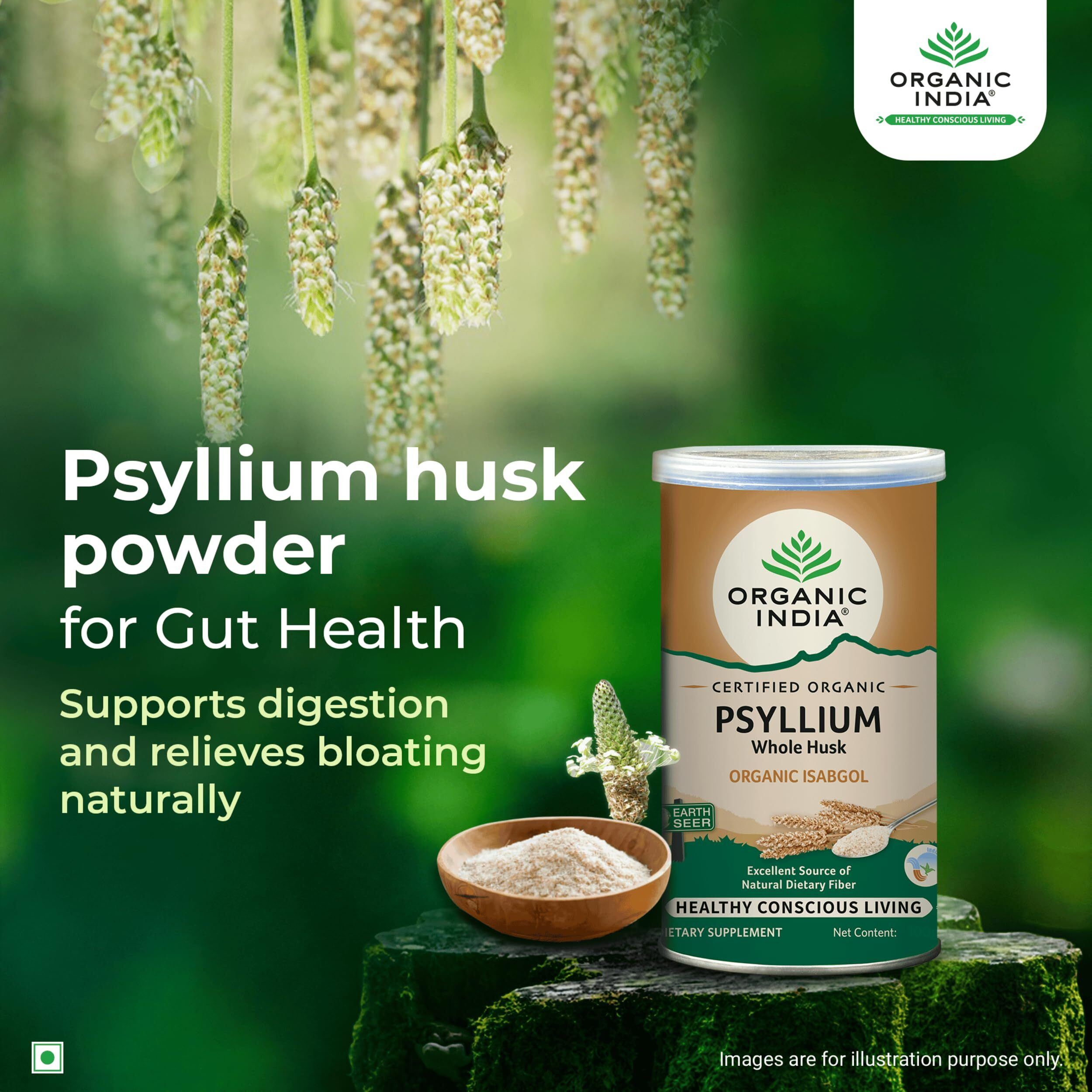 A TATA Product - Organic India Isabgol Whole Psyllium Husk Powder - 100g, With Dietary Fiber, Supports Heart Health & Digestive System, Gluten Free, Non-GMO Project Verified, NPOP & USDA Certified