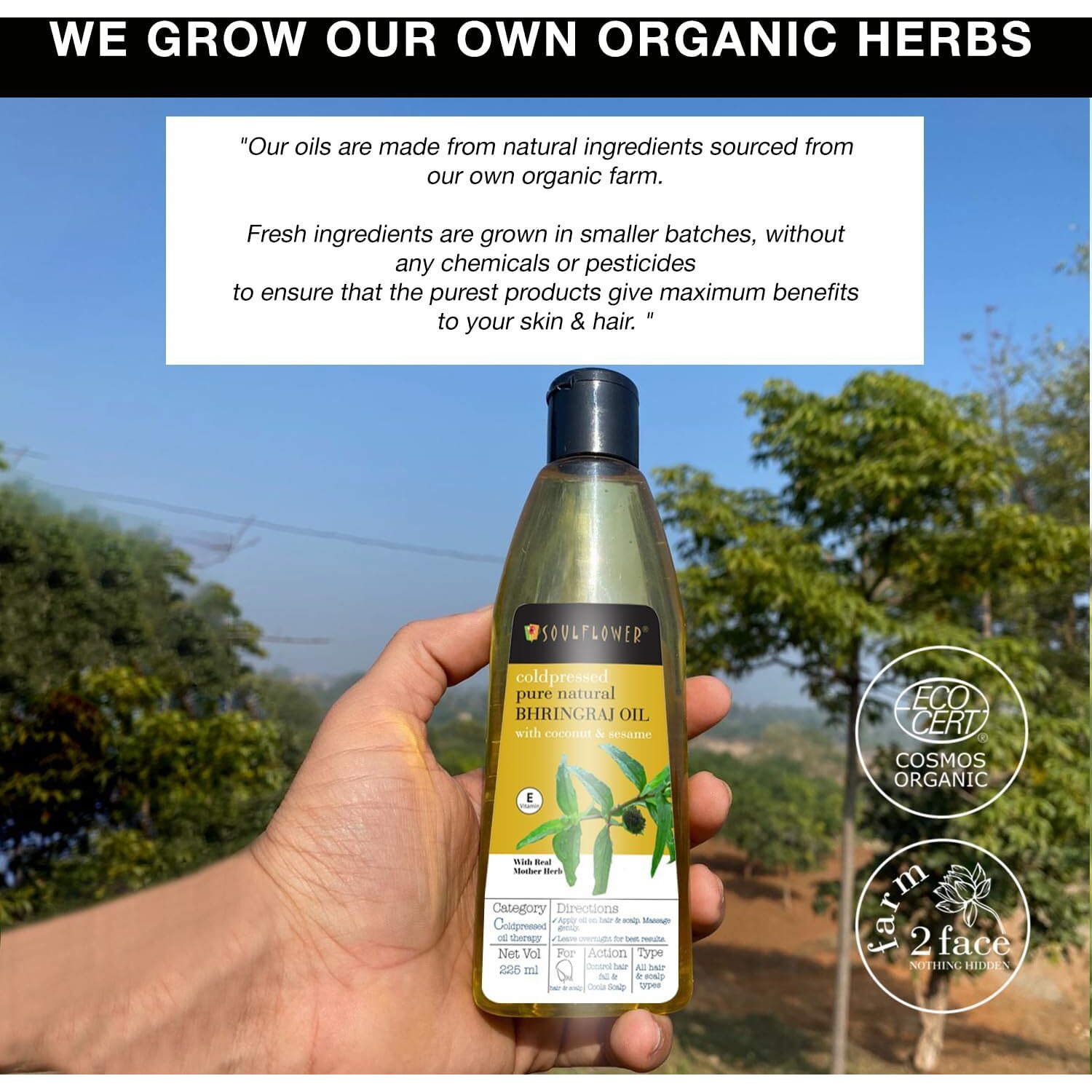 Soulflower Cold-Pressed Bhringraj Oil-Pure & Natural| Hair Growth, Strengthening & Nourishing hair roots, Anti-Dandruff, Cooling Scalp| Coconut, Sesame, Mother herb| 225ml