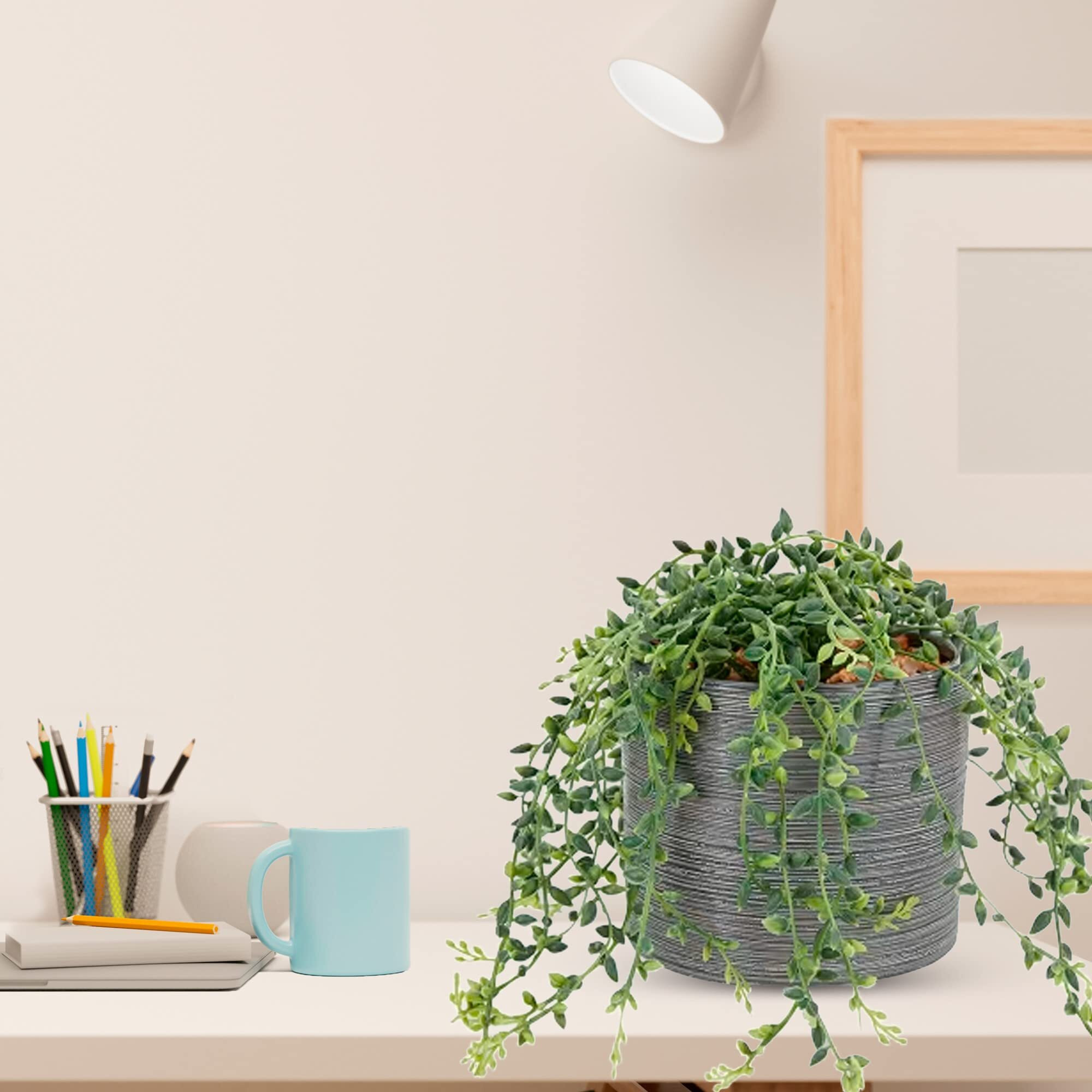 Anko Artificial Plant & Grey Ceramic Pot (Potted Plant) | Decorative Item for Home, Office, Bedroom, Balcony, Living Room | Table Top Accessory | Natural Look Artificial Plant | 13 Cm (H)