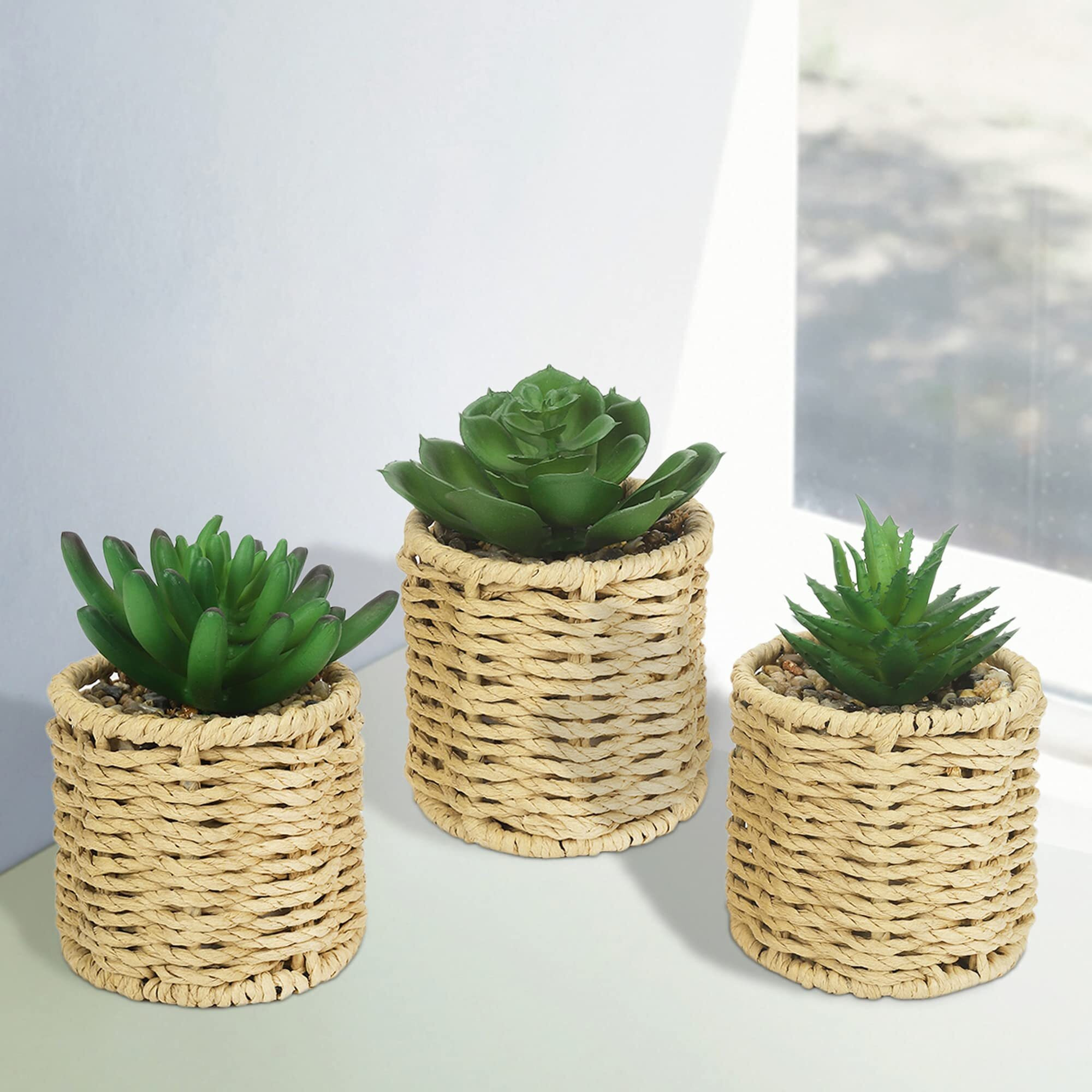 Anko Set of 3 Artificial Mini Succulent Plants with Rattan Look Pots | Decorative Artificial Plant for Home, Office, Bedroom, Balcony, Living Room | Natural Look Artificial Plant for Home Dcor