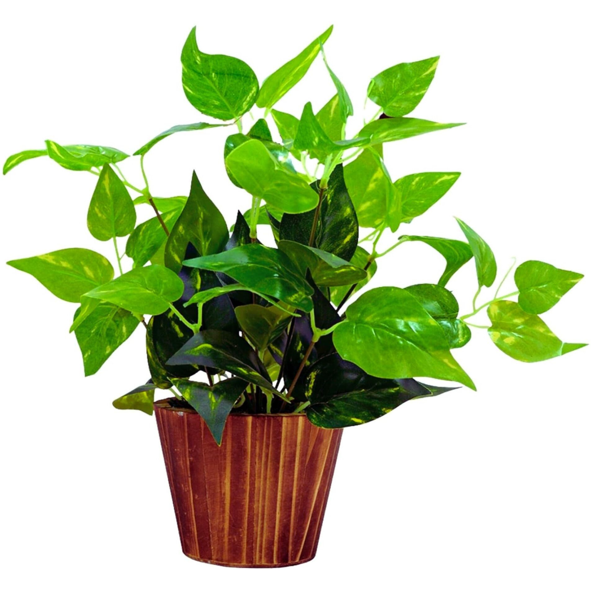 fancymart Artificial Money Plant Leaves in Wood Pot Pefect Decoration for Home & Office Space