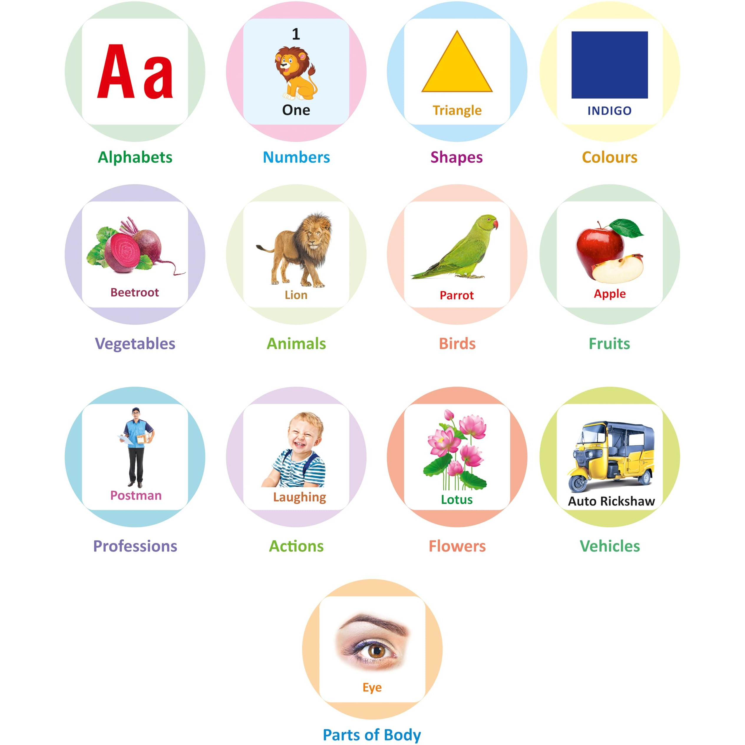 Gurukanth Premium All in One Flash Cards for Kids Toys for 1-6 Years Old Boy and Girls (Laminated Non-Tearable flashcards - Water Proof) | Early Learning Montessori Toy for 1 2 3 4 5 6 Year Old