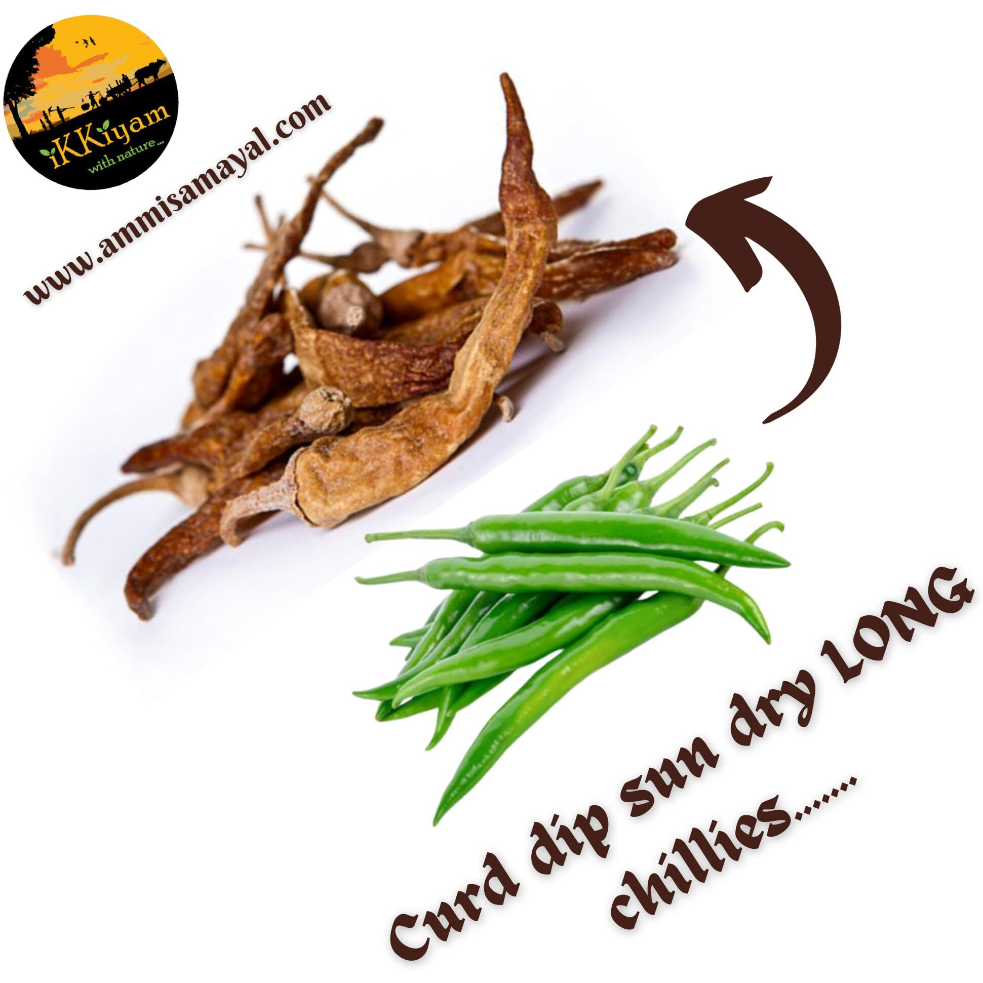Ikkiyam Curd Dip Sun Dry long Chilly | MorMilagai Vathal | Premium & Organic Chillis | Dahi Mirchi | Thayyir Chilli | Pure & Natural Spicy Chillys | Deliciously Meal | Pack of 3 | 100 gram each