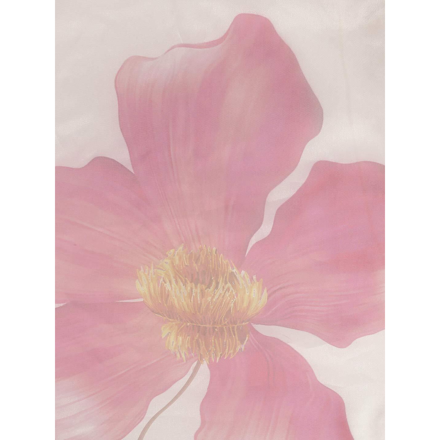 Womanista Womens Crepe Saree with Blouse Piece (WM1312_Off White & Pink_Onesize_Off White, Pink)