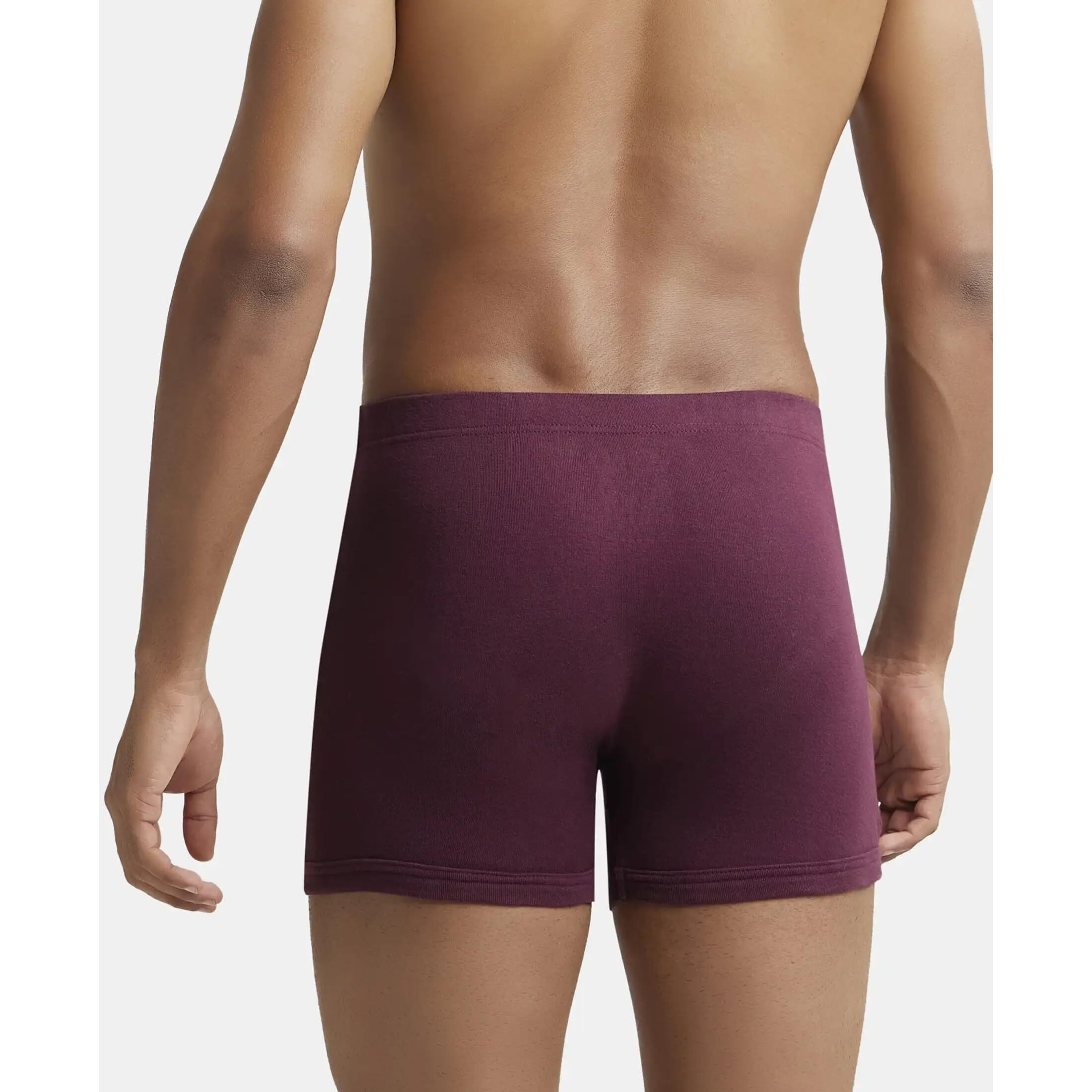 Jockey Men's Cotton Briefs (Pack of 2) (37722_Purple_L)