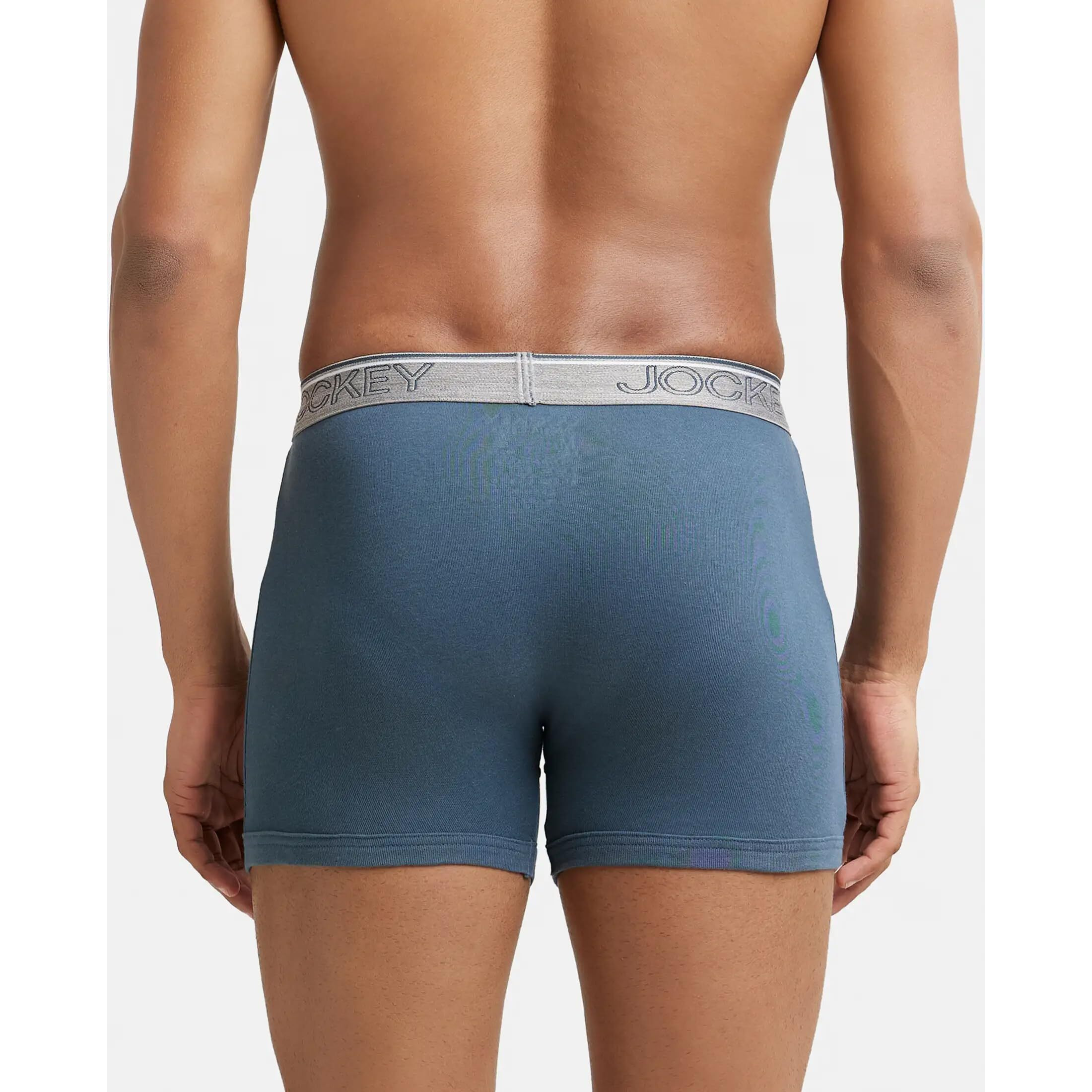 Jockey Men's Cotton Briefs (Pack of 2) (38043_Grey_L)