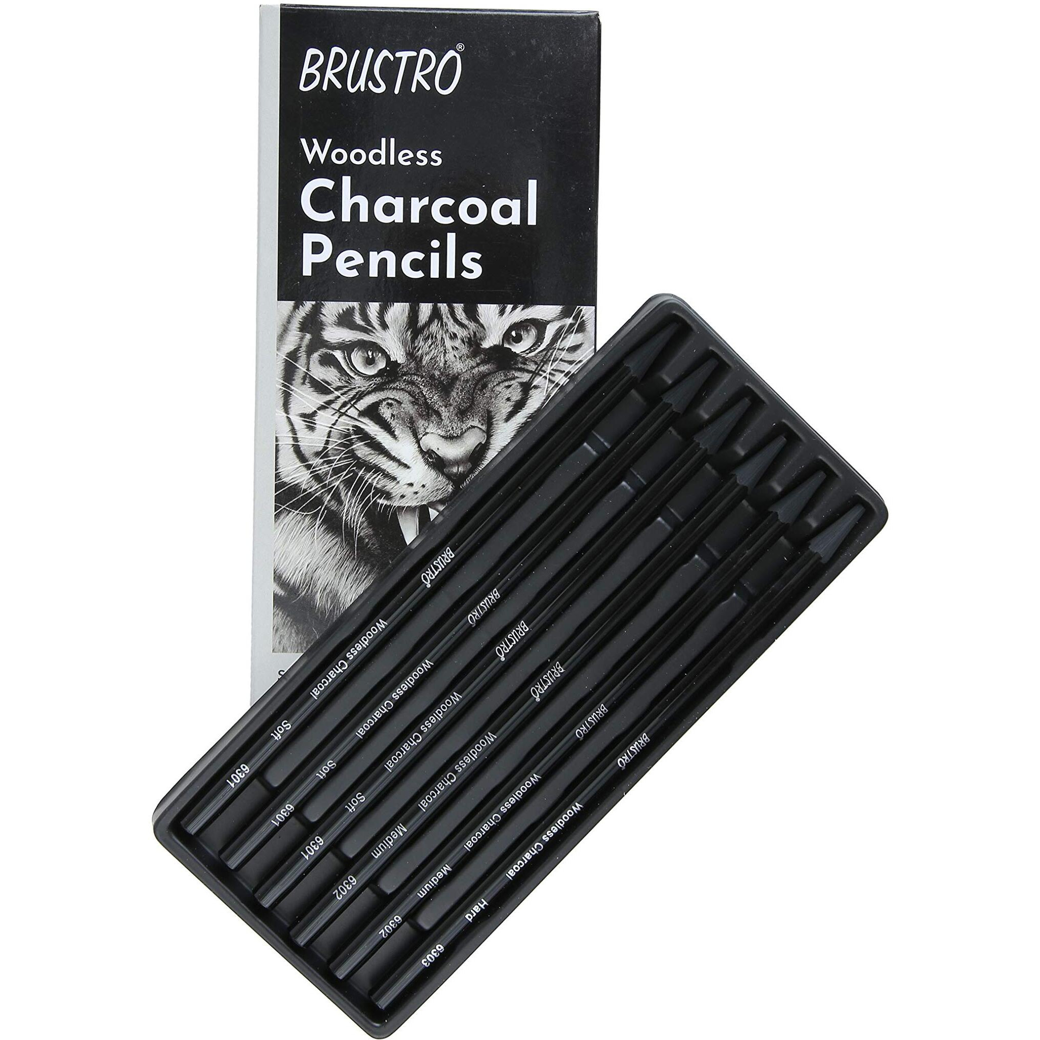 BRUSTRO Woodless Charcoal Pencils | Set of 6 (3 Soft, 2 Medium, 1 Hard) |Ideal for Drawing, Shading, Coloring, Sketching, Artwork |Portrait,Landscape,Smooth Blending,Professional Artists, Students Use