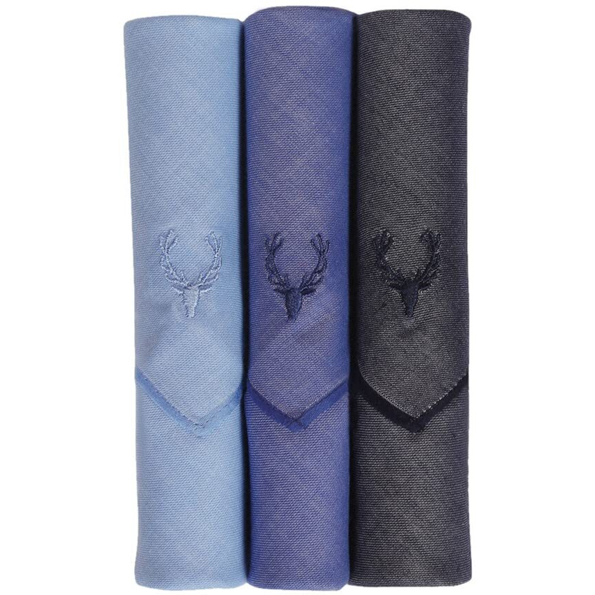 Allen Solly Men's Cotton Handkerchief (AHW16365E_Multi_One Size)