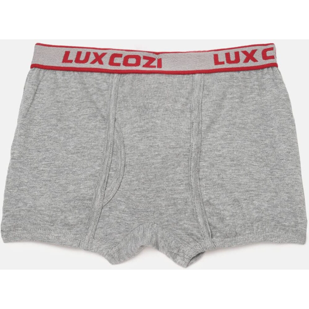Lux Cozi Bigshot Boy's Pack of 4 Super Combed Cotton Outer Elastic Semi Long Plain Trunk for Kids (Size  70cm) Multicolour
