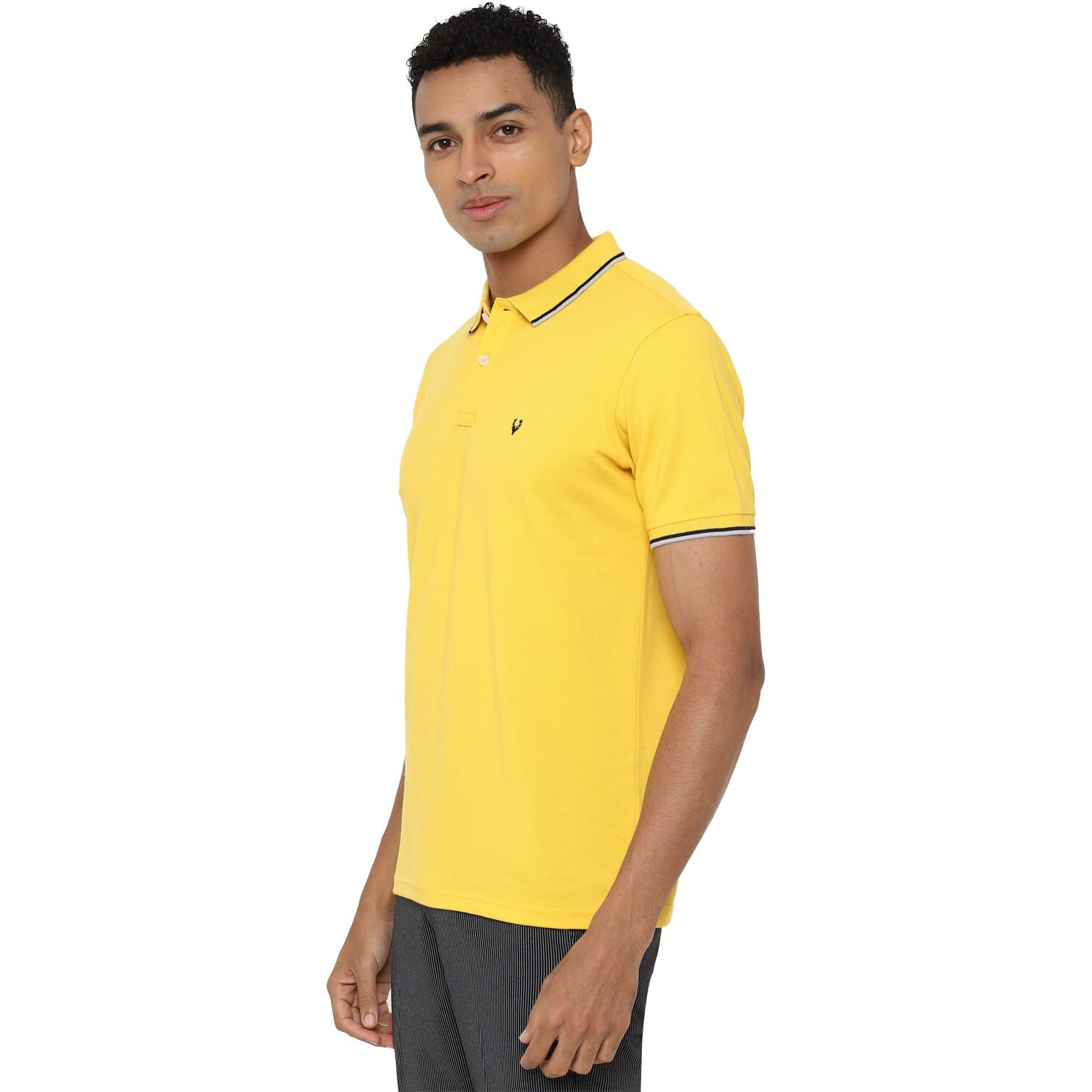 Allen Solly Men's Cotton Plain Regular Fit Polo Shirt (ASKPQRGFY42227_Yellow_ L)