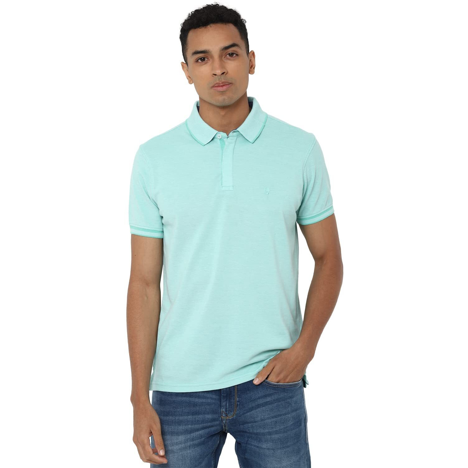 Allen Solly Men's Plain Regular Fit Polo (ASKPQRGFW44317_Light Green XL)