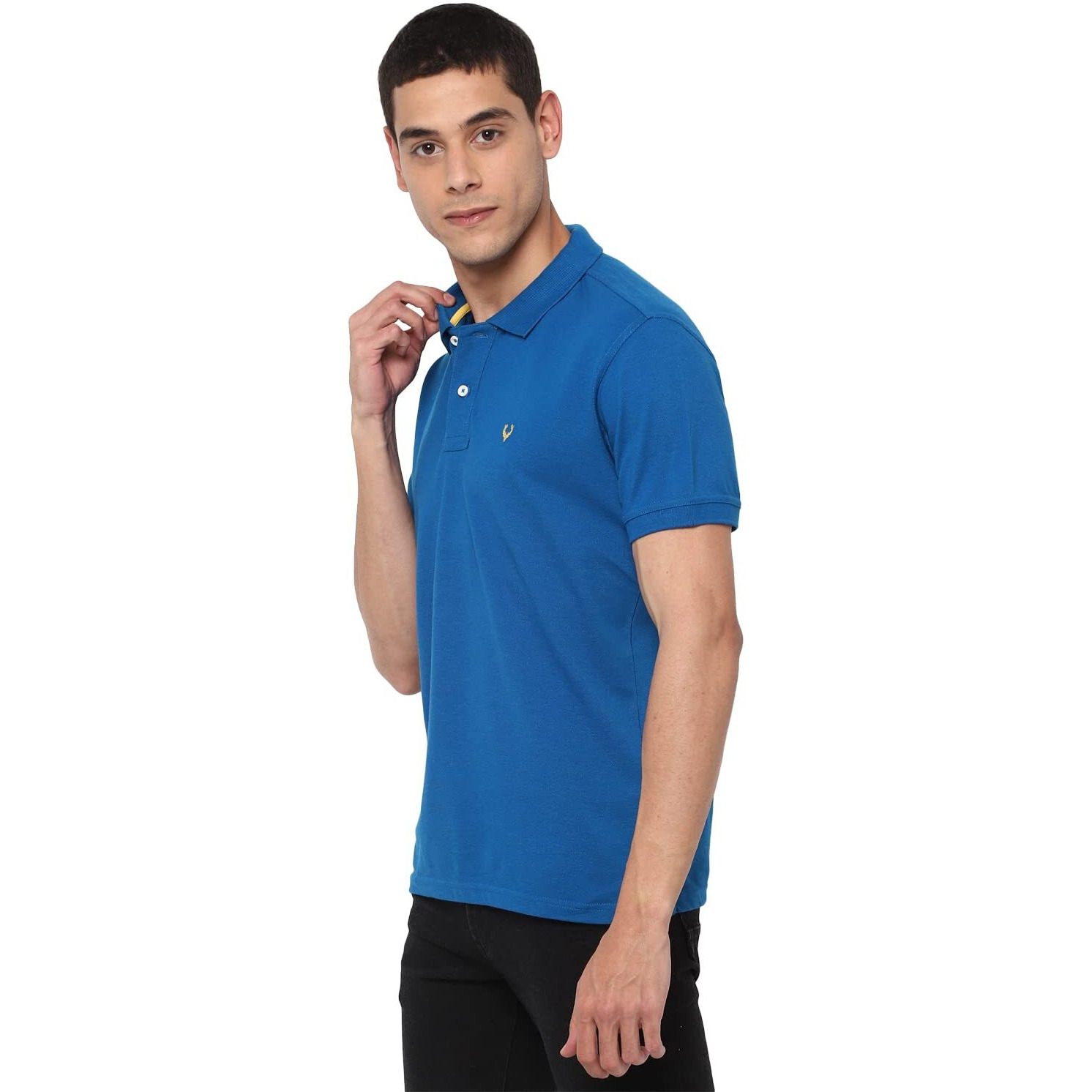 Allen Solly Men Blue Regular Fit Polo(AMKP317G04252_Medium Blue_L)