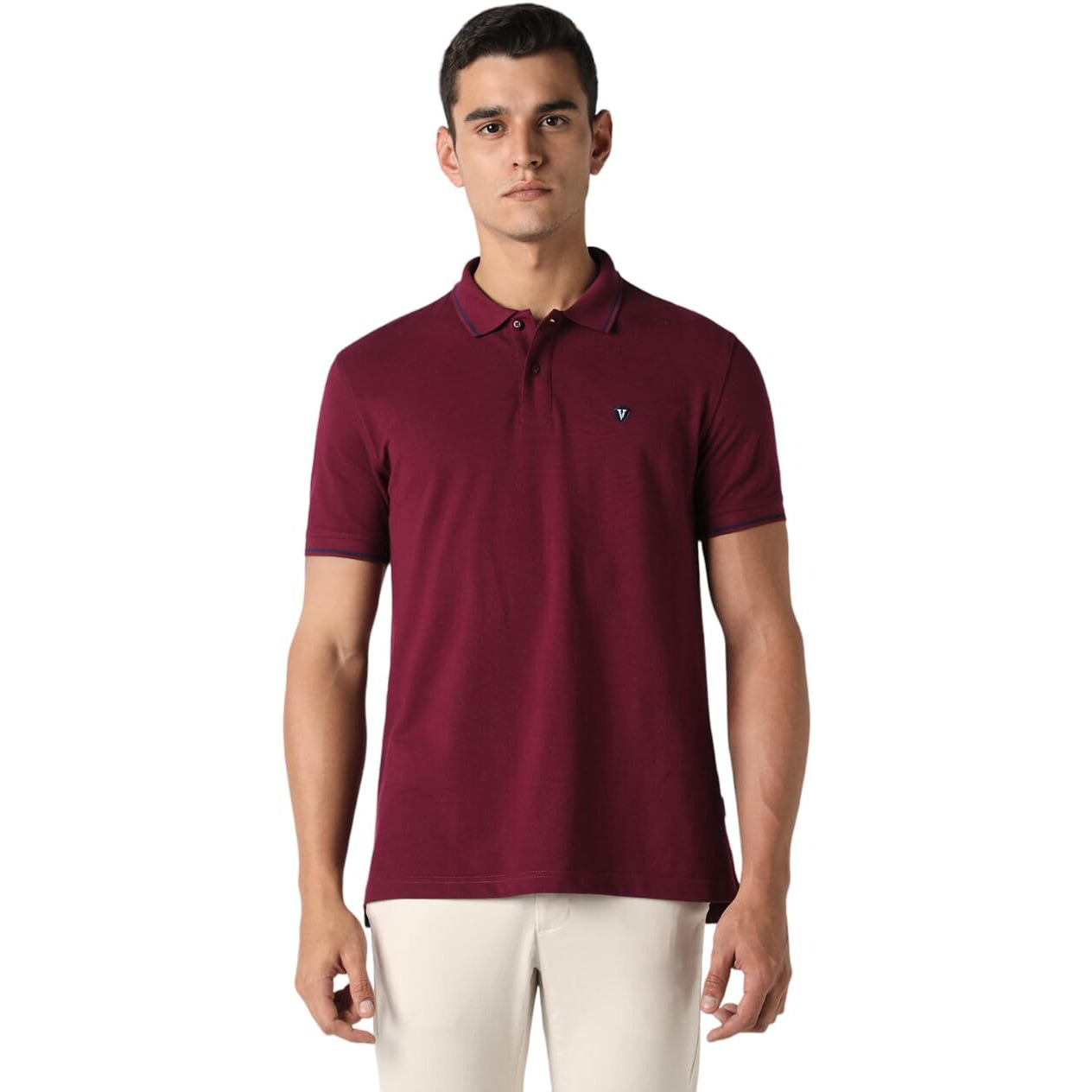 Van Heusen Men's Regular Fit Polo T-Shirt (VSKP517S011406_Light Purple XL)