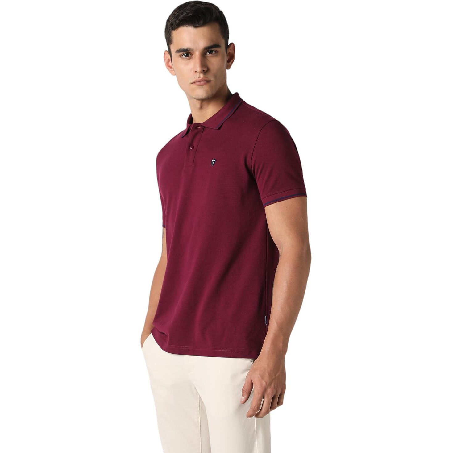 Van Heusen Men's Regular Fit Polo T-Shirt (VSKP517S011406_Light Purple XL)
