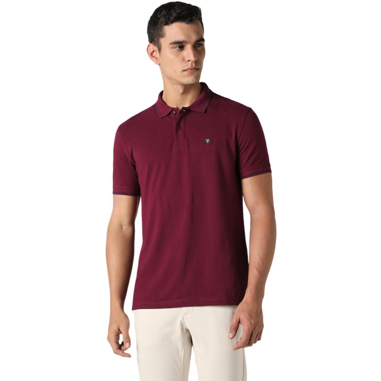 Van Heusen Men's Regular Fit Polo T-Shirt (VSKPWRGF981010_Purple XL)