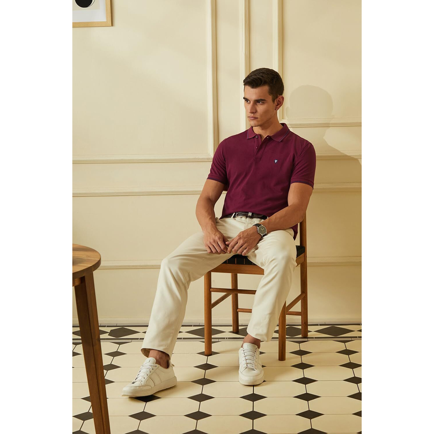 Van Heusen Men's Regular Fit Polo T-Shirt (VSKPWRGF981010_Purple XL)
