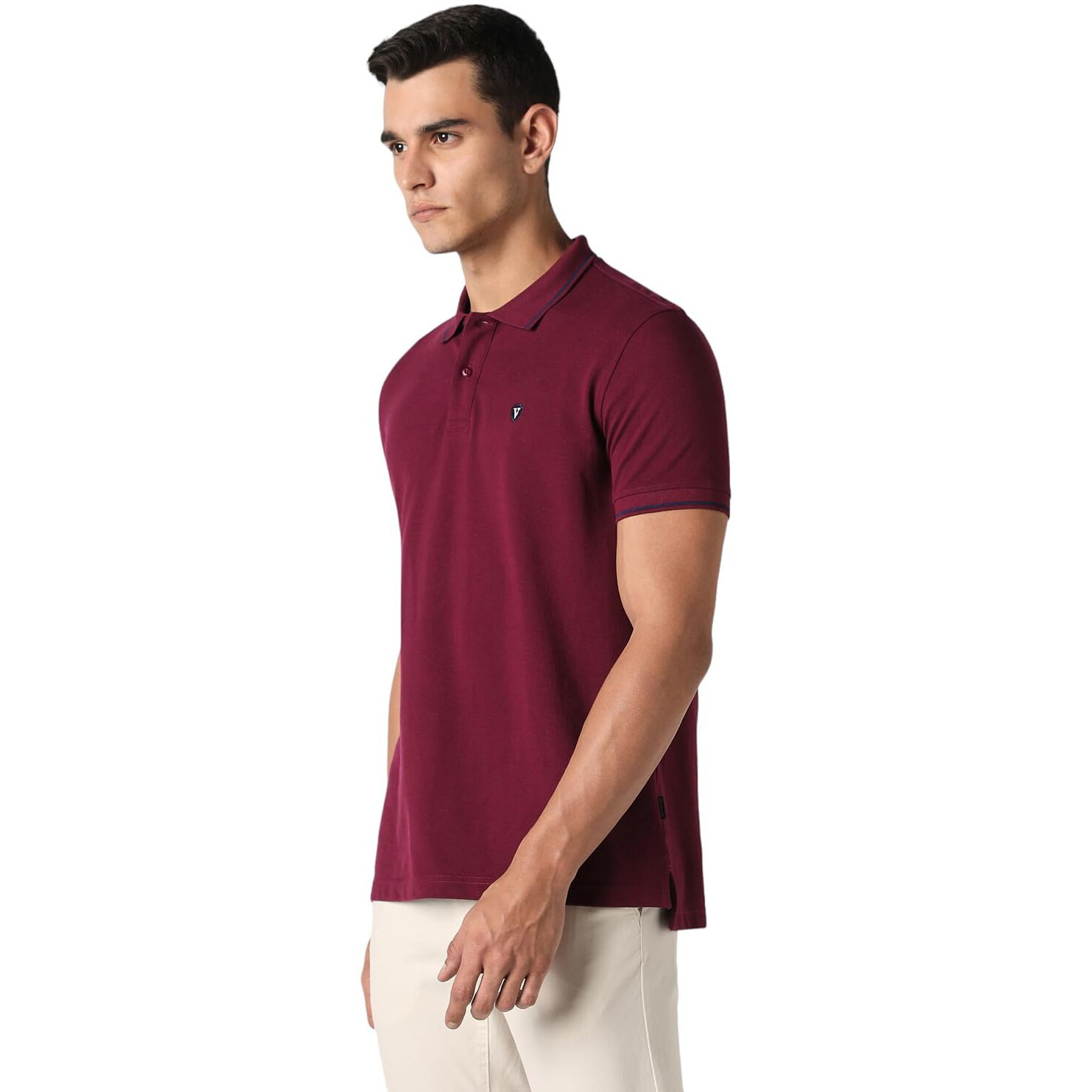 Van Heusen Men's Regular Fit Polo T-Shirt (VSKPWRGF981010_Purple XL)