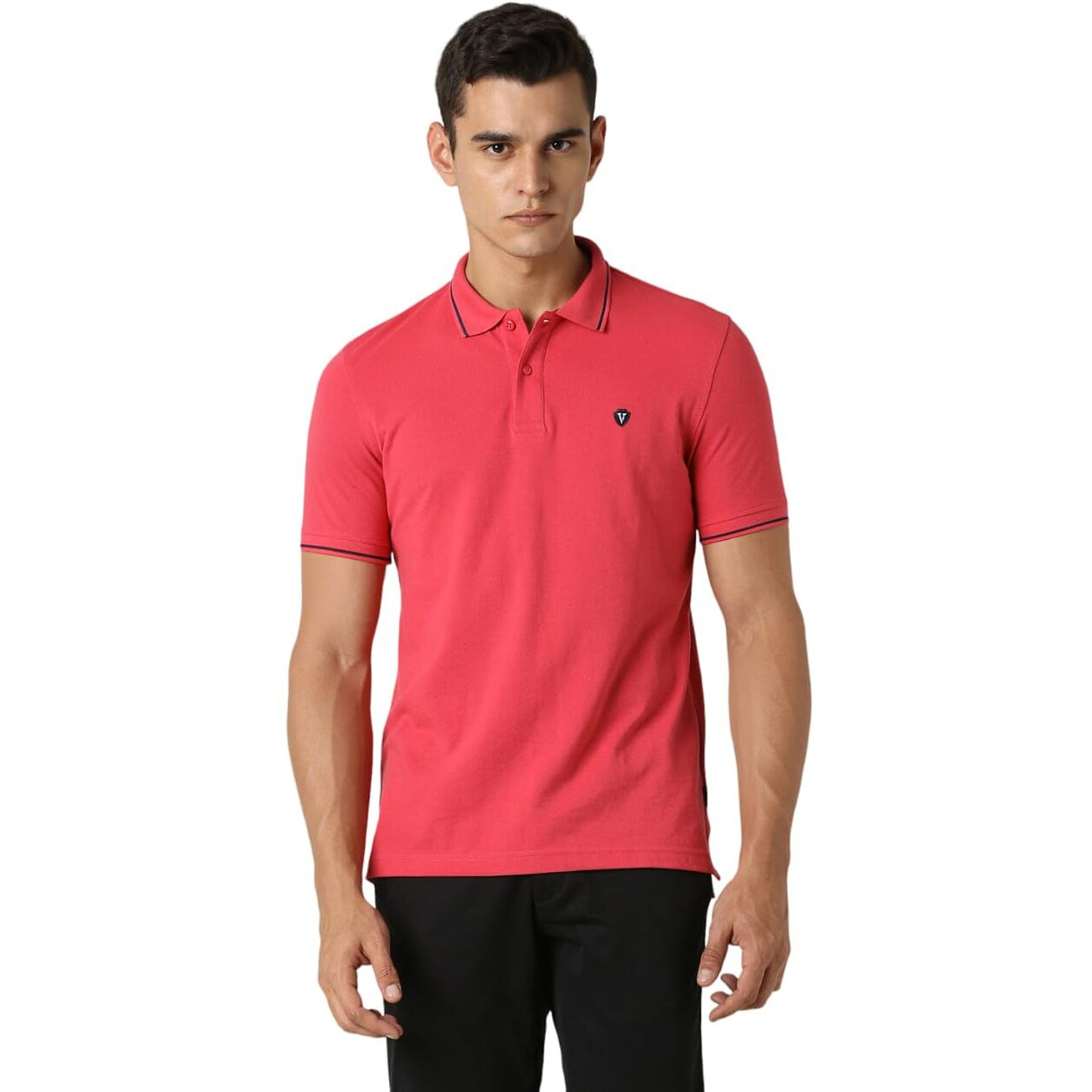 Van Heusen Men's Regular Fit Polo T-Shirt (VSKPWRGFD34687_Rouge Red L)