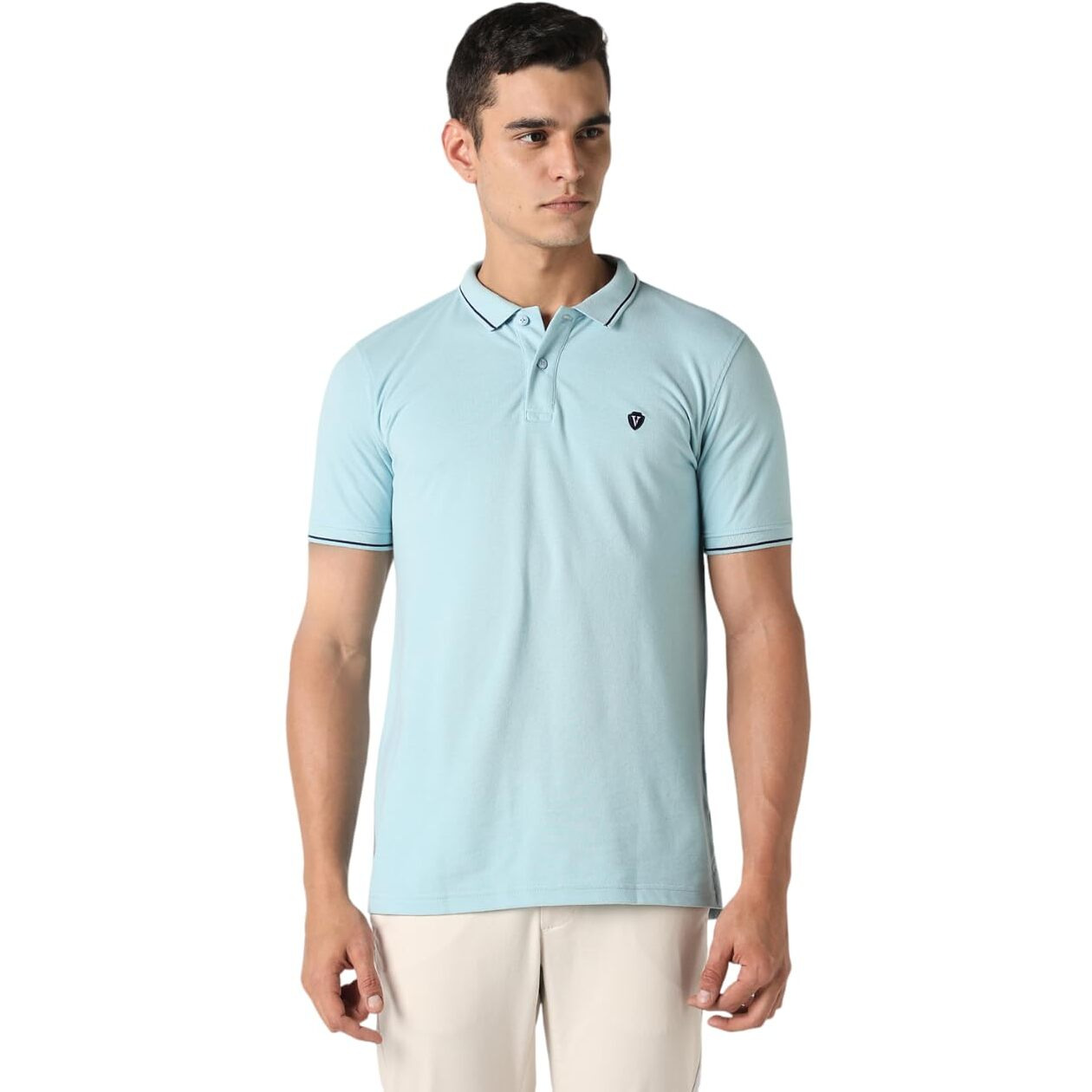 Van Heusen Men's Regular Fit Polo T-Shirt (VSKPWRGFY65647_Light Blue L)