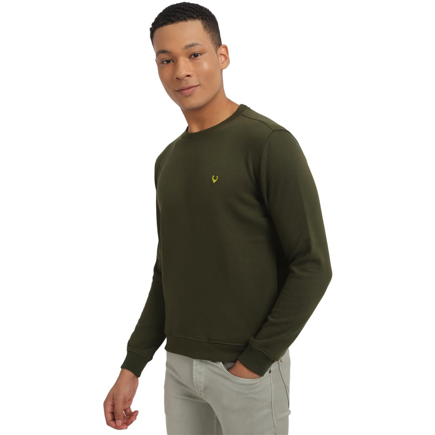 Allen Solly Men's Cotton Round Neck Regular Fit Sweatshirt (Asstorgpk27847L_Olive 19-0414 Tcx_Olive_L)