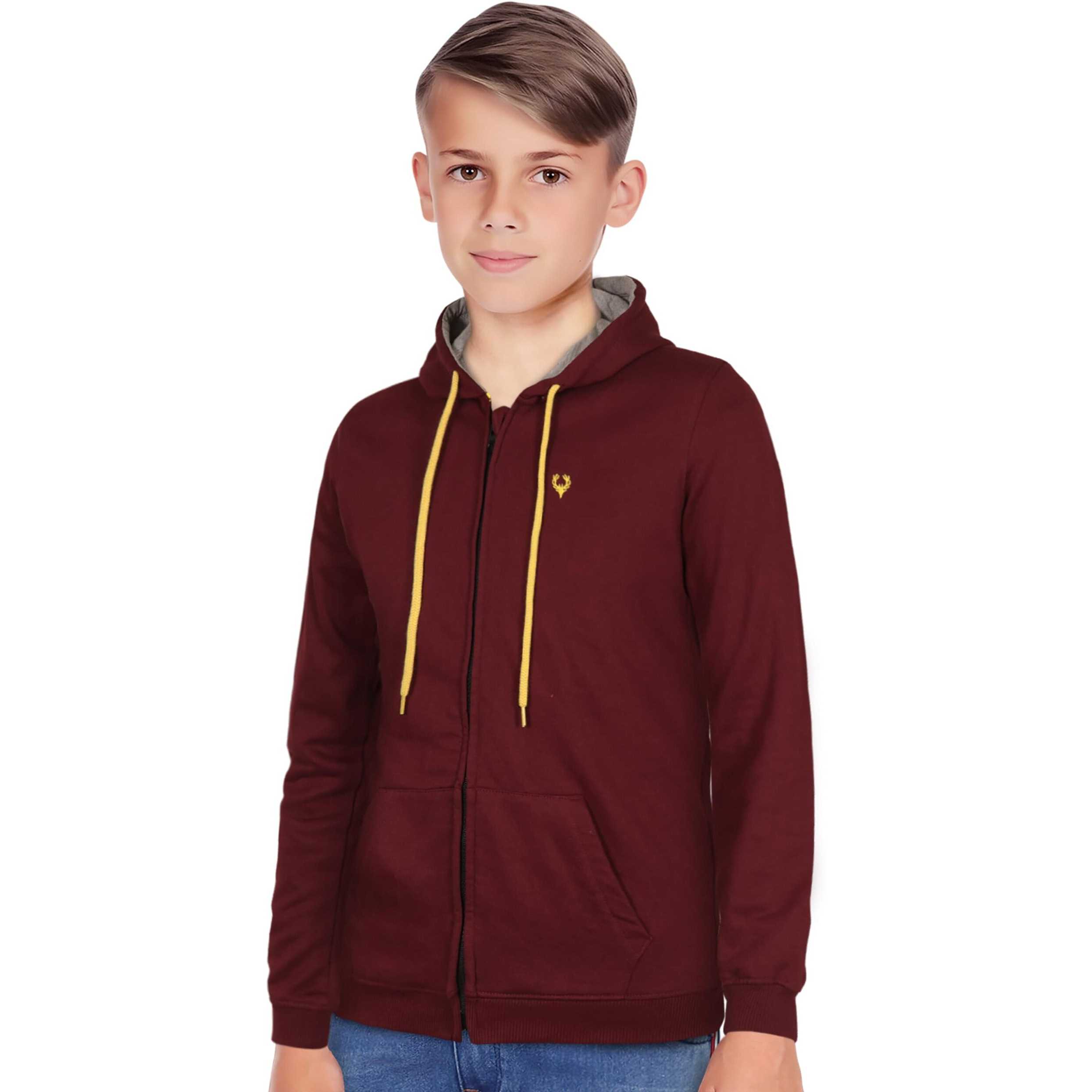ALLEN SOLLY Junior Boys Cotton Hooded Neck Regular Sweatshirt (ABSS31901811_Maroon_16_Maroon_15 Years-16 Years)