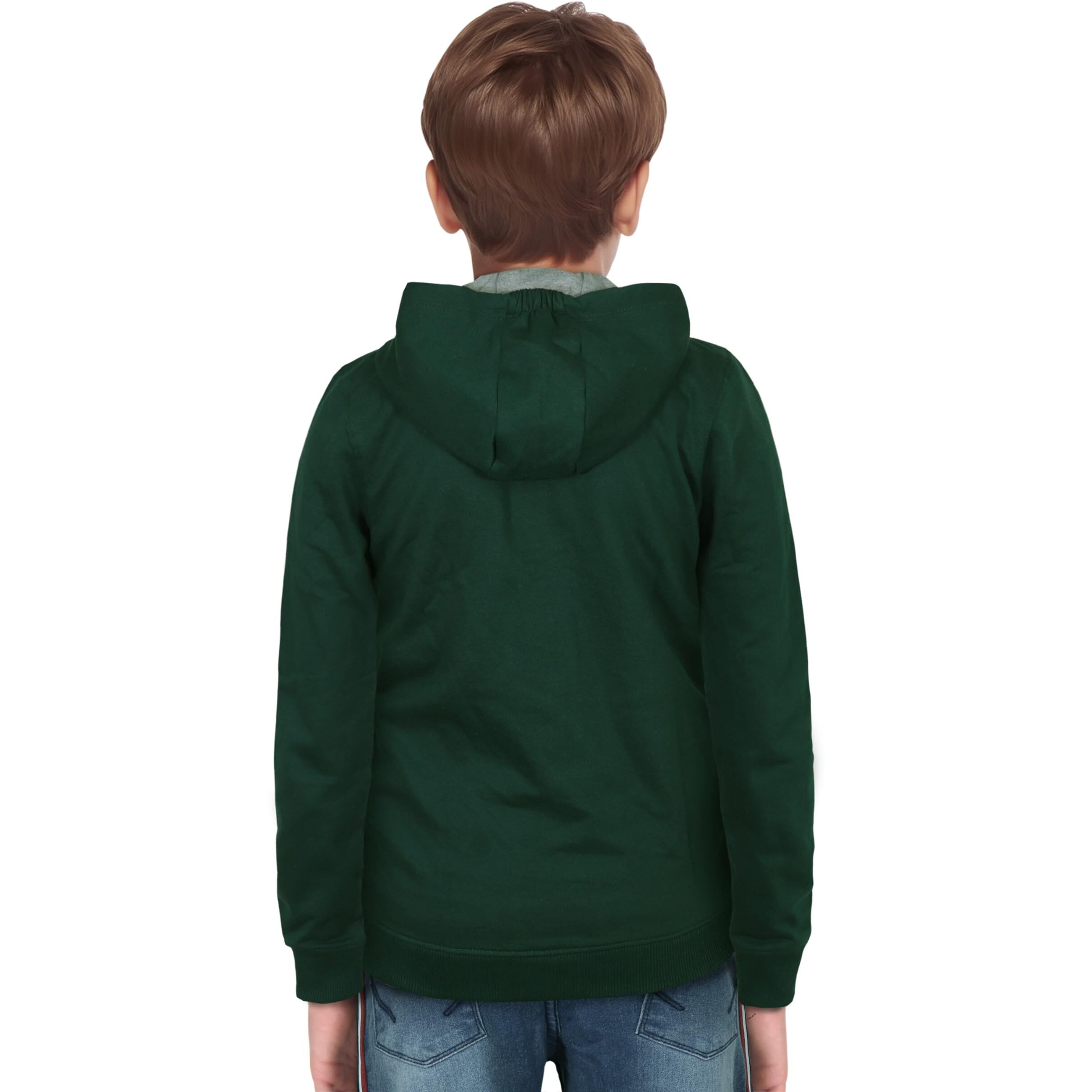 ALLEN SOLLY Junior Boy's Regular Fit Cotton Hooded Neck Sweatshirt(ABSS31901812_Green_16)