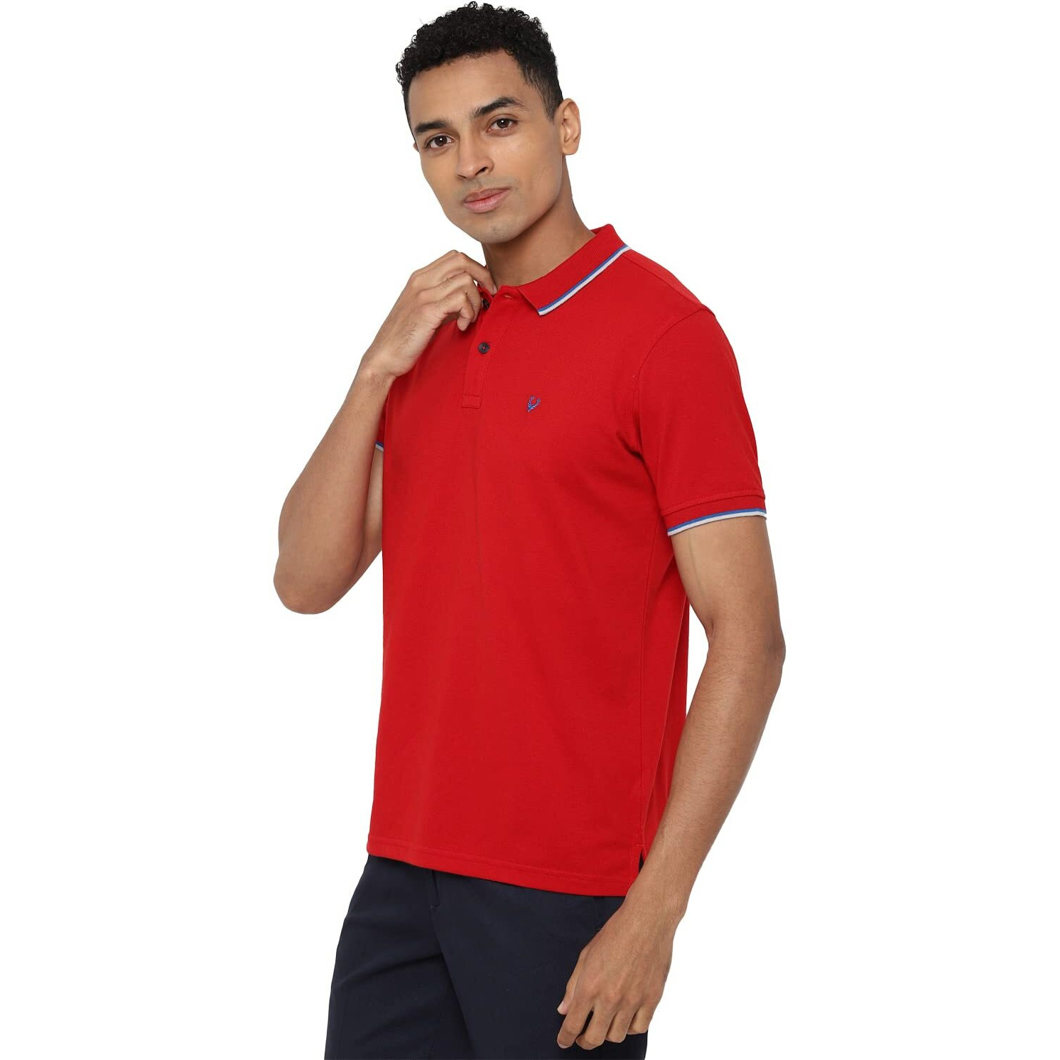Allen Solly Men Regular Fit Polo (Askpqrgfm50454-M_Maroon_M)