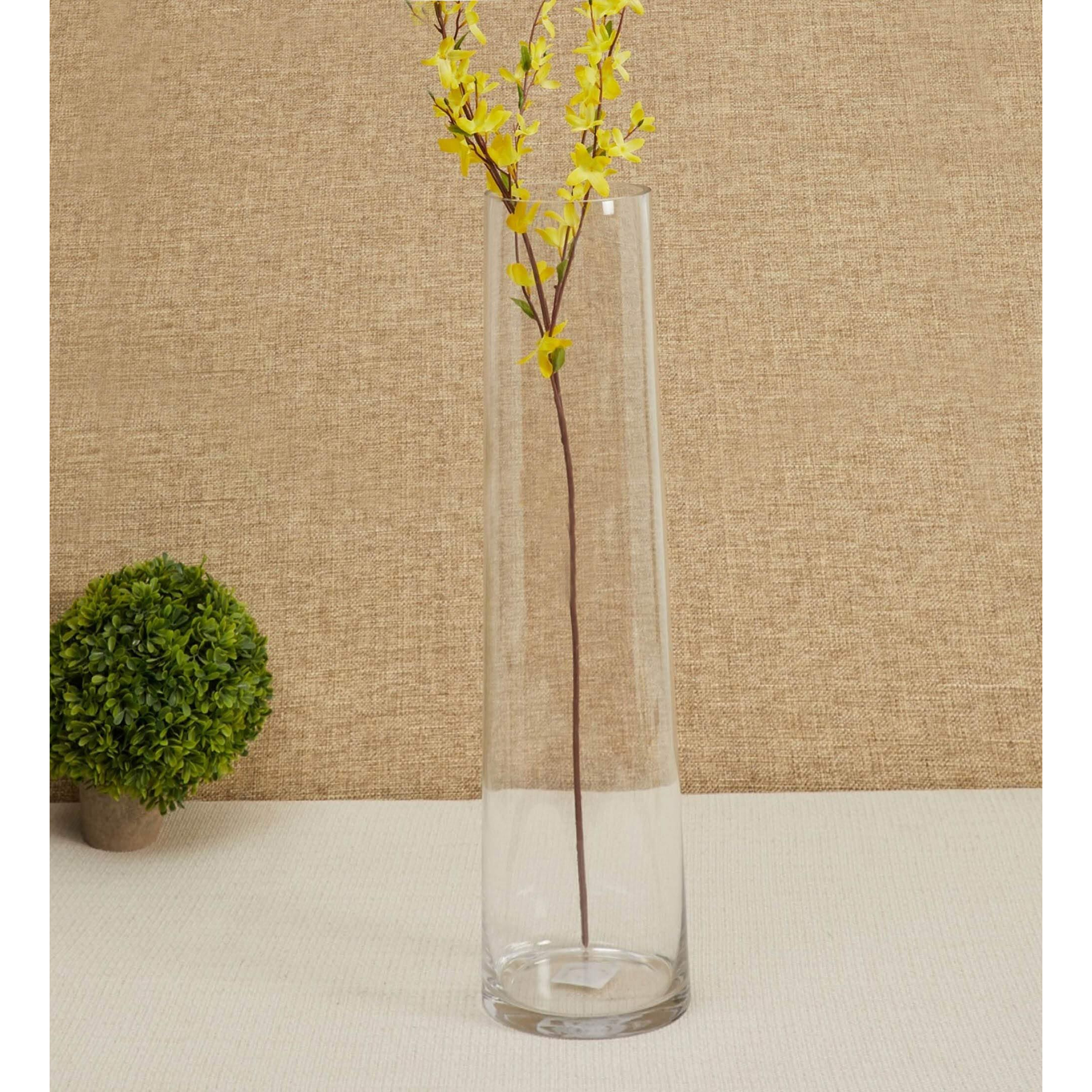 TIED RIBBONS Glass Round Vase For Flowers And Plants Living Room Home Dcor Table Centerpiece Wall Shelf Home Decoration (8 X 29 Cm, Clear Without Flowers, Clear)
