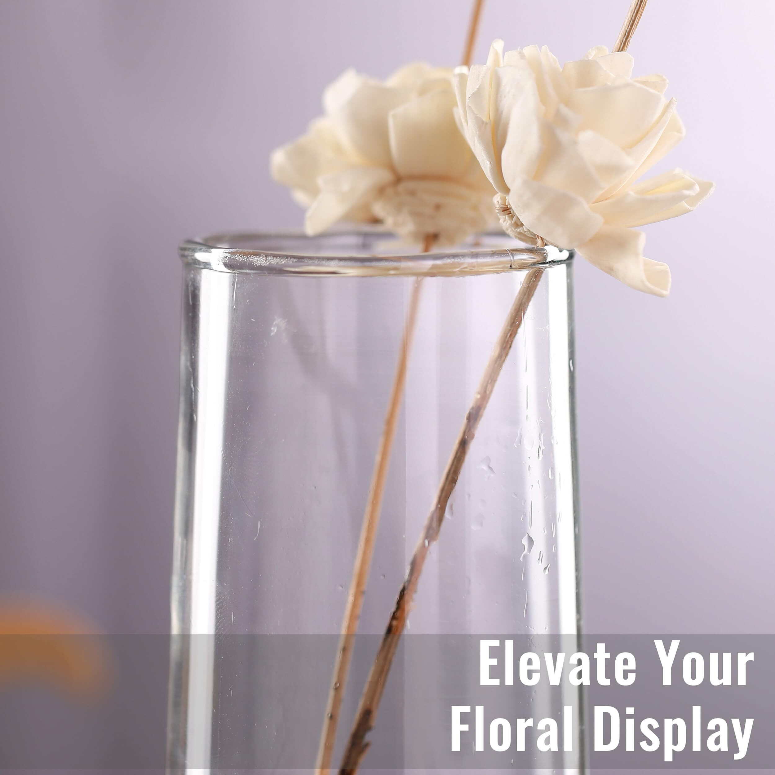 TIED RIBBONS Glass Round Vase For Flowers And Plants Living Room Home Dcor Table Centerpiece Wall Shelf Home Decoration (8 X 29 Cm, Clear Without Flowers, Clear)