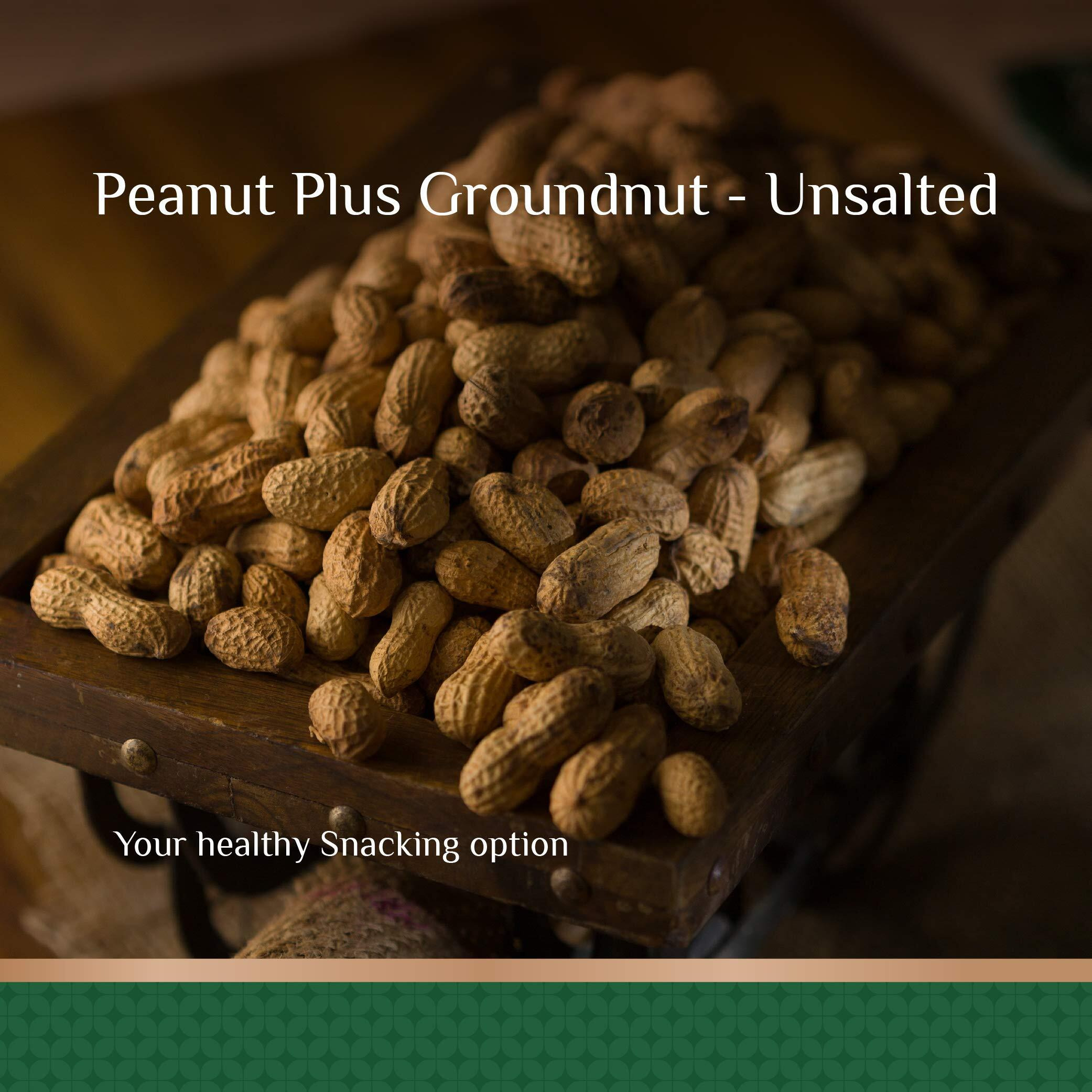 SHREGO Peanut Plus Roasted Groundnut Unsalted 1500G (4X375G)