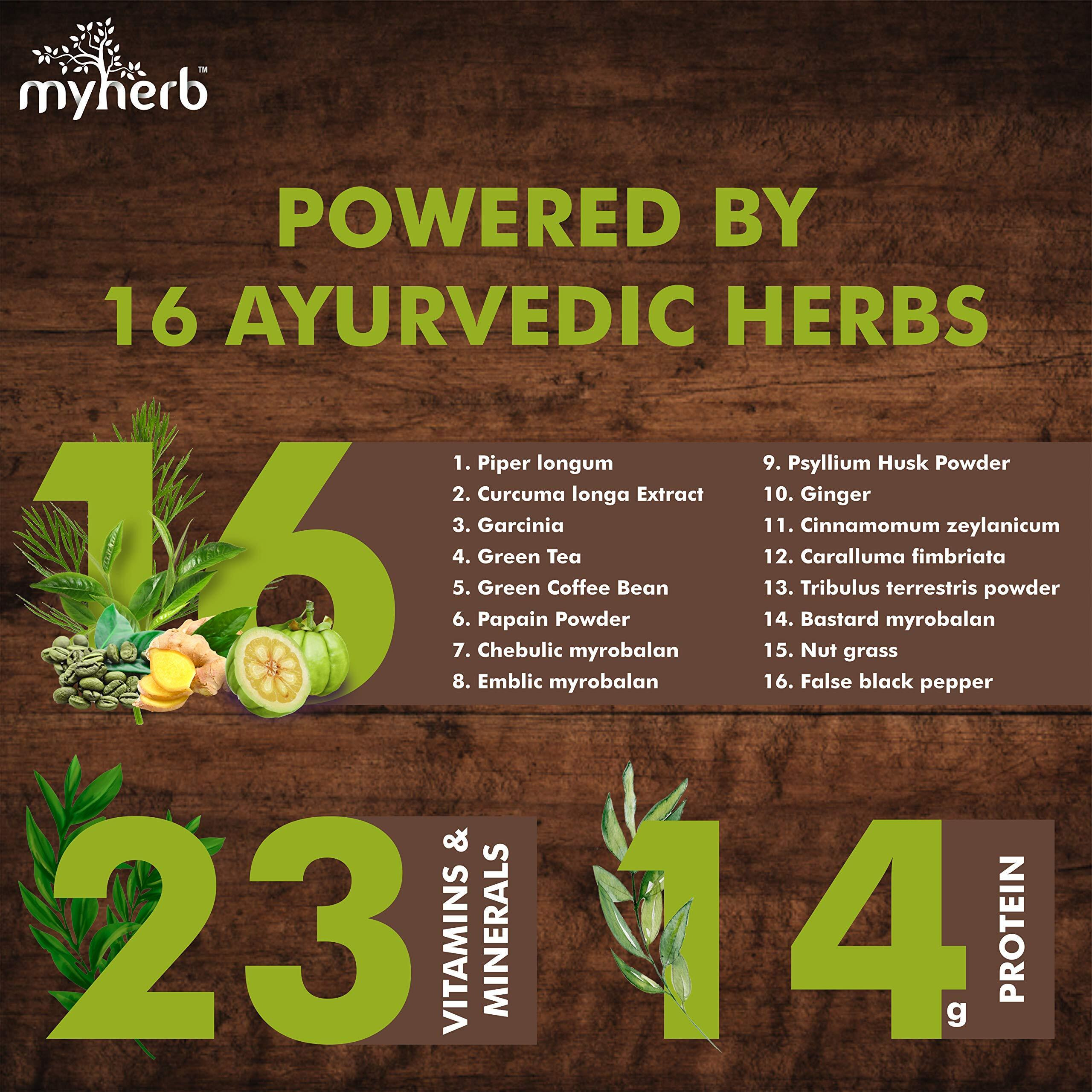 MYHERB Slim Up Meal Replacement Shake With 16 Natural Herbal Blend (Ayurvedic Formula) For Weight Control&Management-13.5g Protein-23 Vitamins For Men&Women (Juicy Mango Milk Shake, 500 gm)
