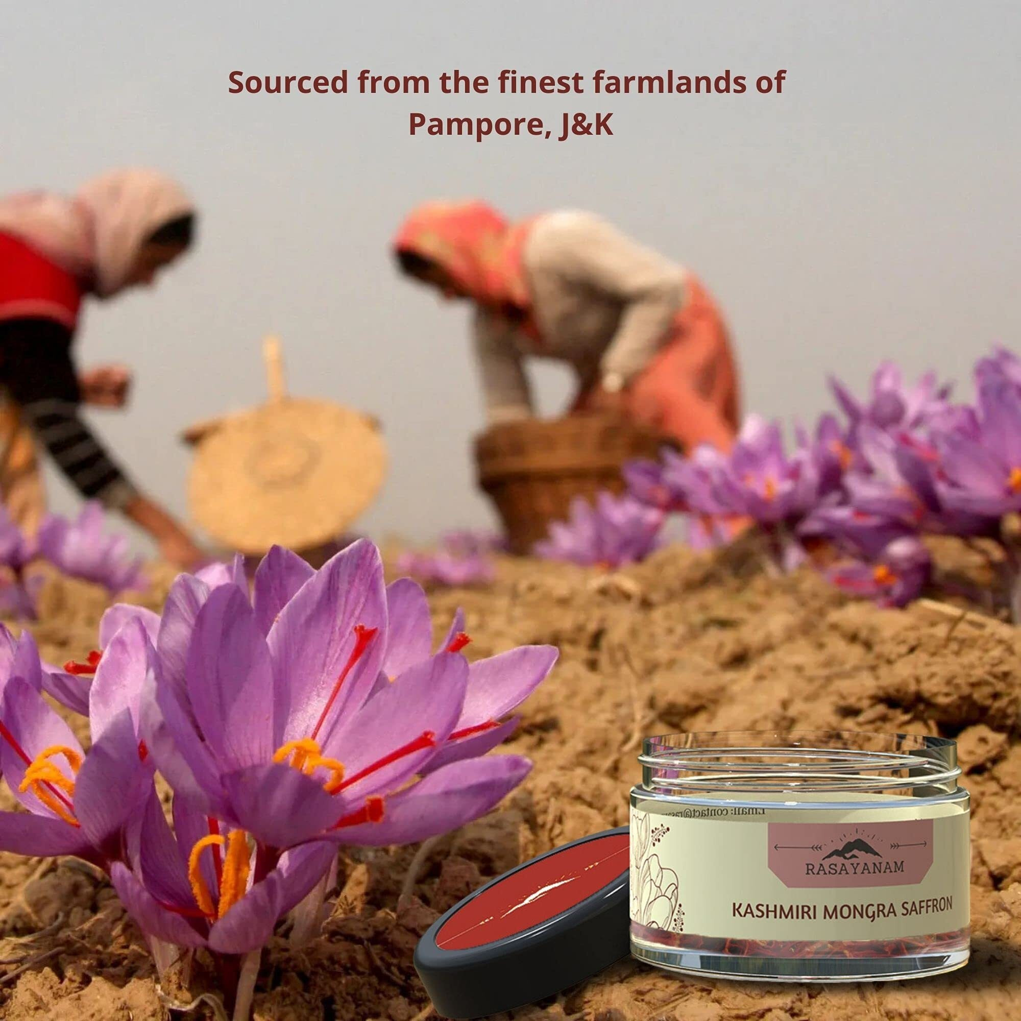 Rasayanam Pure Kashmiri Mongra Saffron/Kesar/Kumkuma Puvvu Tested Grade A As Per Iso 3632 From The Finest Farmland Of Pampore, J&K-Pack Of 2,1 Grams