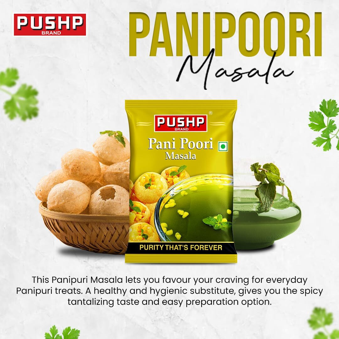 Pushp Brand Panipuri Masala Pouch (Pack of 1, 100g pack) (Pack of 1)