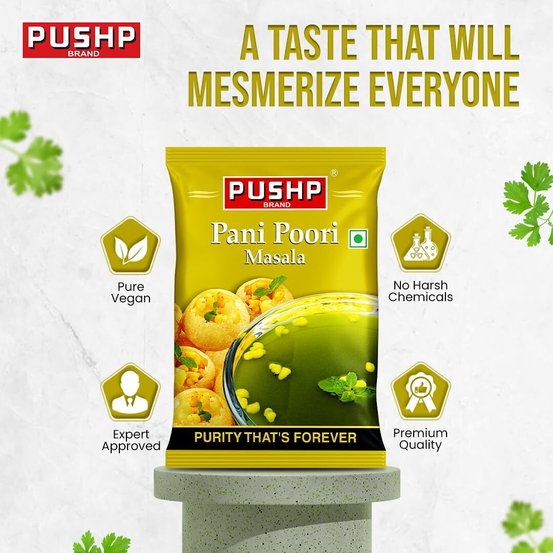 Pushp Brand Panipuri Masala Pouch (Pack of 1, 100g pack) (Pack of 1)