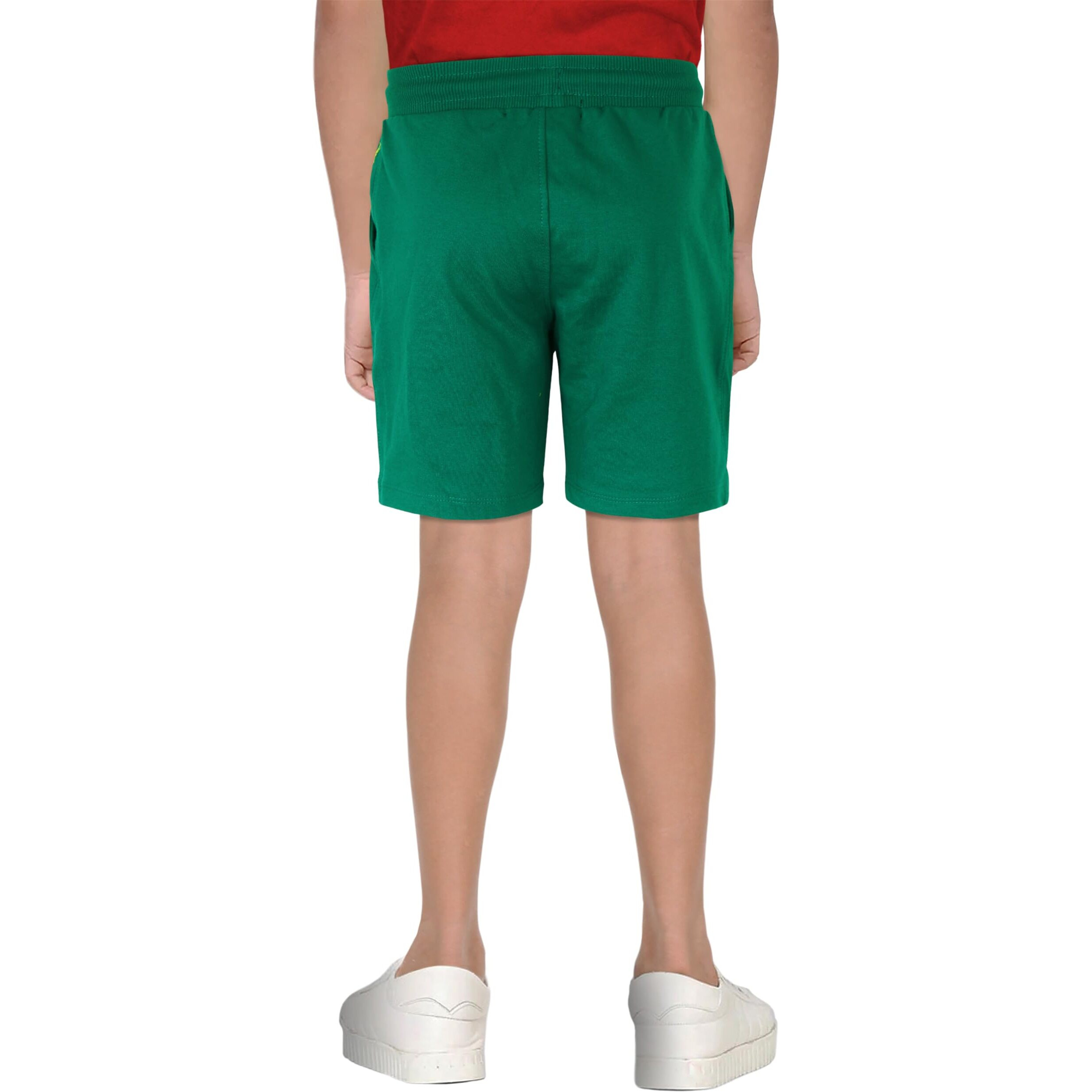 Allen Solly Junior Boys Shorts (Green_4 | 3-4 Years_ABSRERGFH19700)