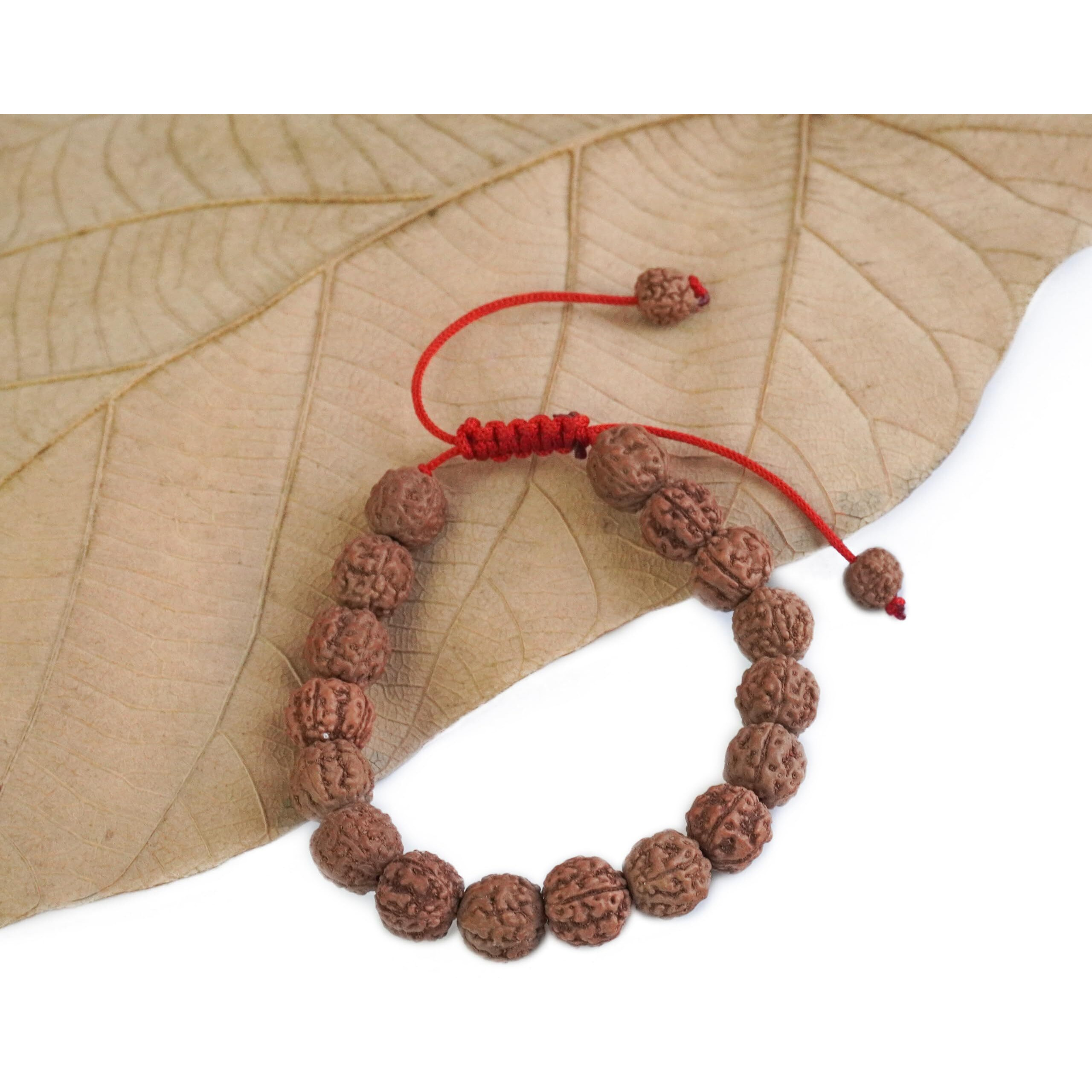 REMEDYWALA Original 5 Mukhi(Panchmukhi) Rudraksha Bracelet With Certificate | AAA Grade Unisex both for Men and Women