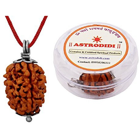 ASTRODIDI 3 Mukhi Rudraksha 3 Face Mantra Siddha Rudraksh Pendant Certified (Brown)