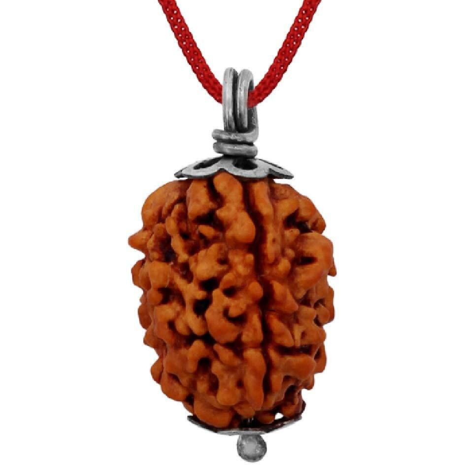 ASTRODIDI 3 Mukhi Rudraksha 3 Face Mantra Siddha Rudraksh Pendant Certified (Brown)