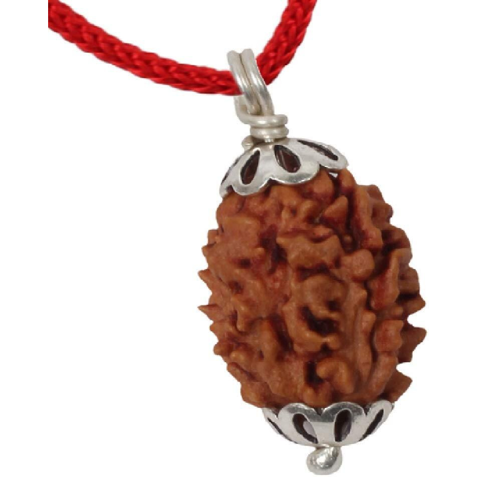 ASTRODIDI 3 Mukhi Rudraksha 3 Face Mantra Siddha Rudraksh Pendant Certified (Brown)