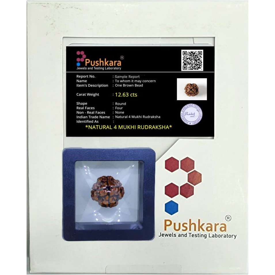 PUSHKARA NATURAL 4 MUKHI RUDRAKSHA CERTIFIED - NEPAL | BROWN | PJTL4M01