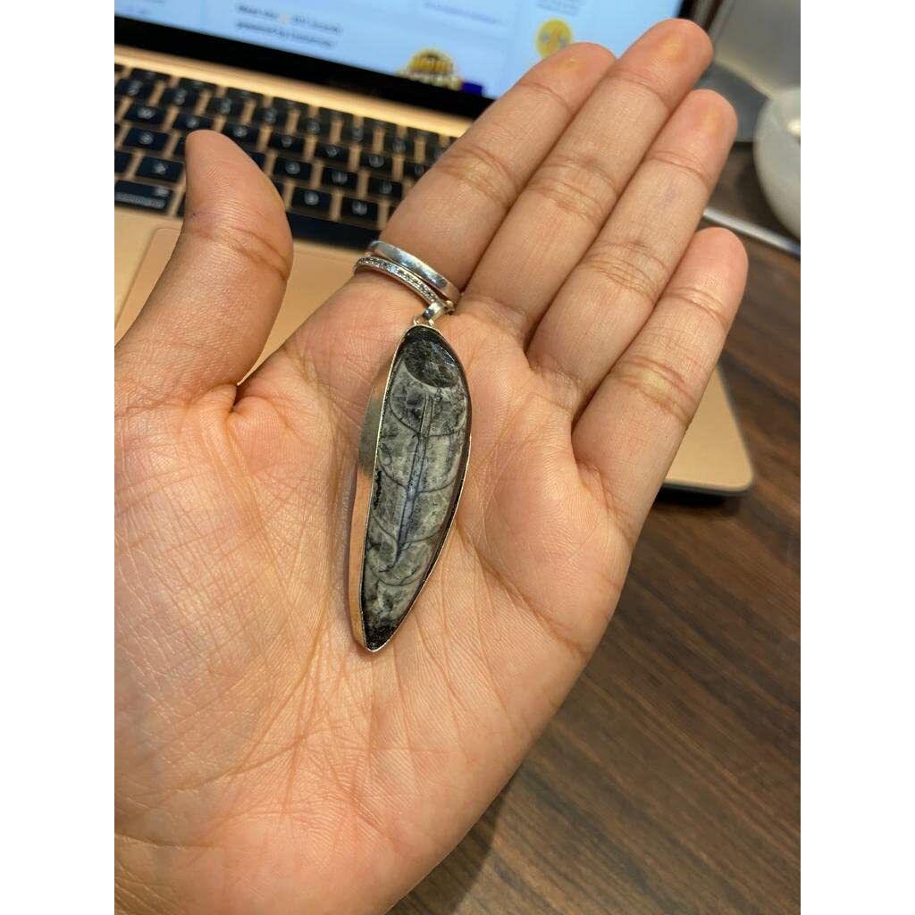 GOLDEN QUARTZ - THE CRYSTAL HUB - Orthoceras Fossil Pendant Kuber Finance Success Crystal Natural Locket With Chain For Girls (Fossil Stone)