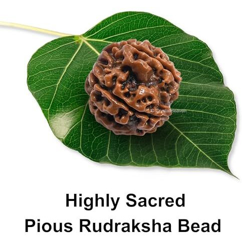 Crystal Heaven 5 Mukhi Rudraksha Original Certified Bead - Natural Nepali 5 Mukhi Rudraks For Meditation And Prayer, Protection, Chakra Balancing, Spiritual Growth And Diy Pooja Supplies
