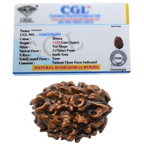 Crystal Heaven 3 Mukhi Rudraksha Original Certified Bead - Natural Indian 3 Mukhi Rudraks For Meditation And Prayer, Protection, Chakra Balancing, Spiritual Growth And Diy Pooja Supplies (3 Mukhi)