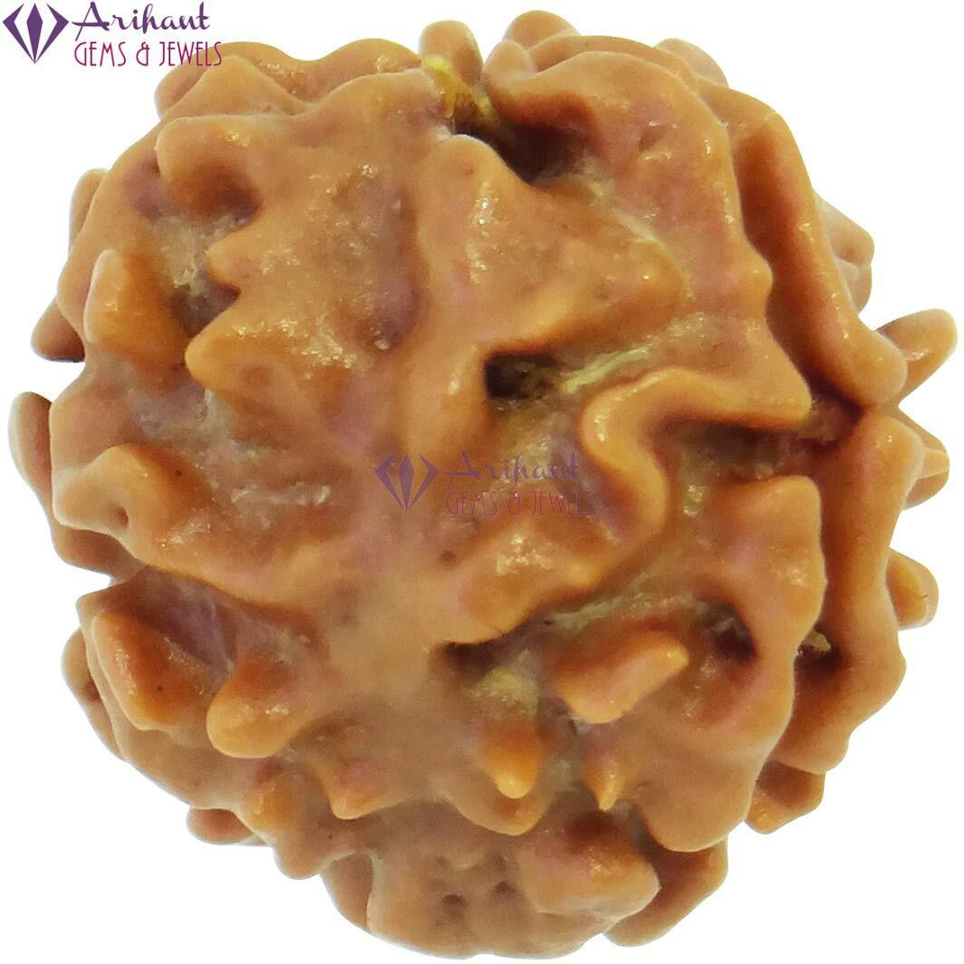 Arihant Gems & Jewels 3 Mukhi/Faced Nepali Rudraksha | Natural & Certified | Astrological Three Mukhi/Faced Rudraksha | Positive Effect | Unisex Both for Men & Women