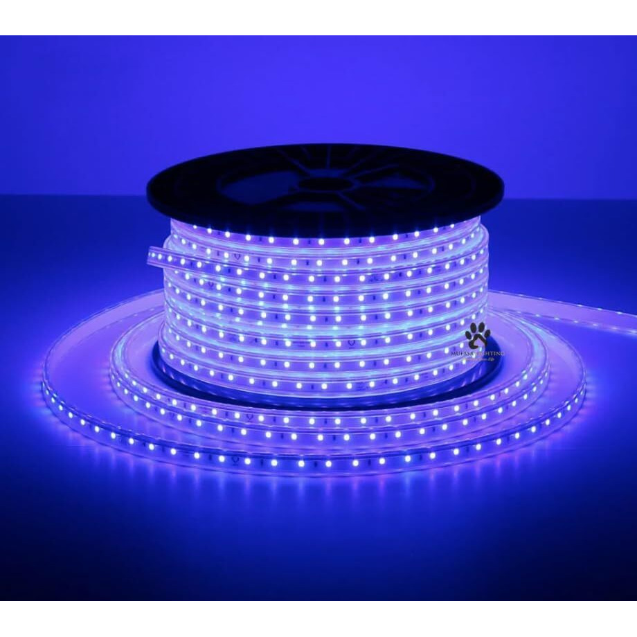 Mufasa LED Rope Light Indoor Outdoor Strip Home Decoration Lights, Diwali Festival Lights False Ceiling, Balcony 220V AC (Non Adhesive Back) (Blue, 5 Meter)