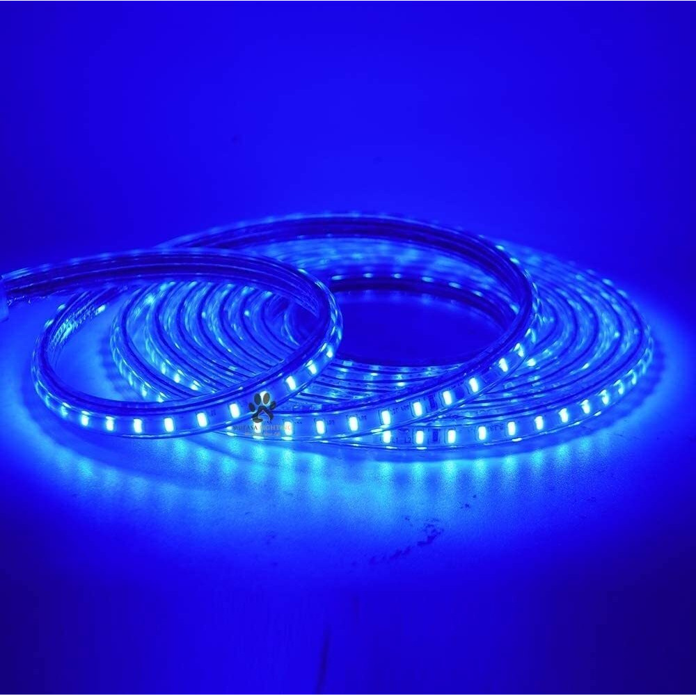 Mufasa LED Rope Light Indoor Outdoor Strip Home Decoration Lights, Diwali Festival Lights False Ceiling, Balcony 220V AC (Non Adhesive Back) (Blue, 5 Meter)